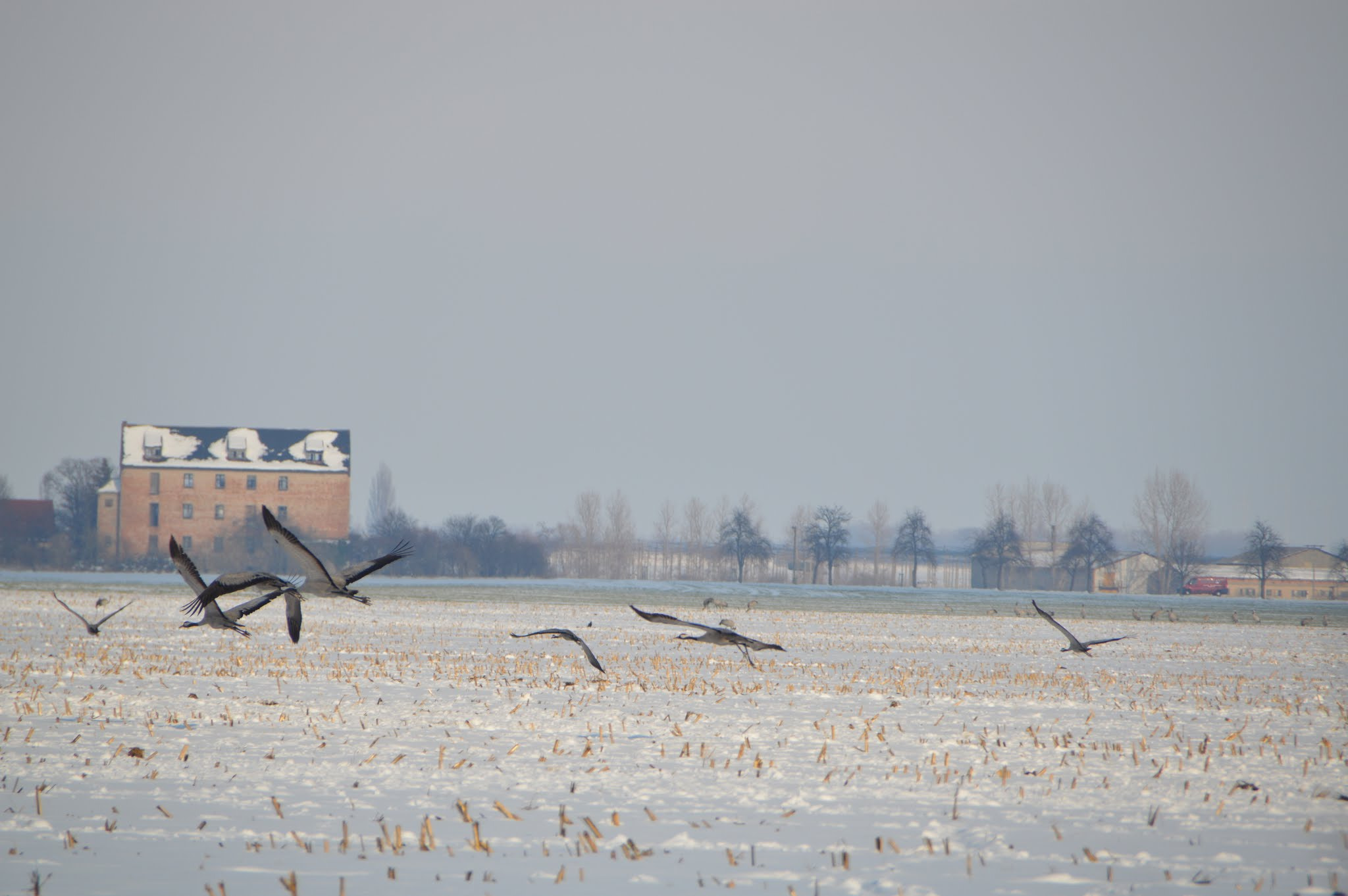 Sigma 18-250mm F3.5-6.3 DC OS HSM sample photo