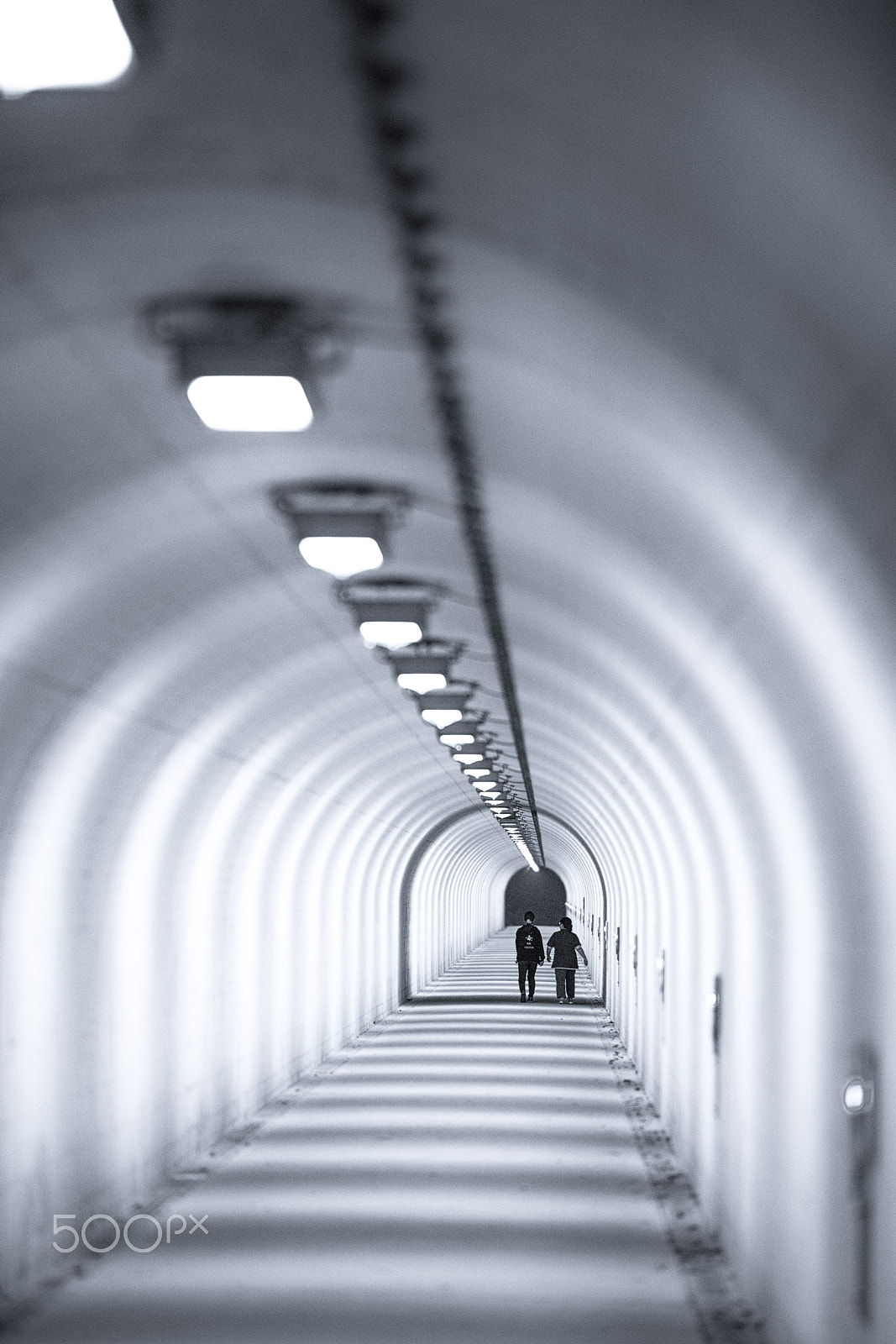 Canon EF 200mm F2L IS USM sample photo. Tunnel photography