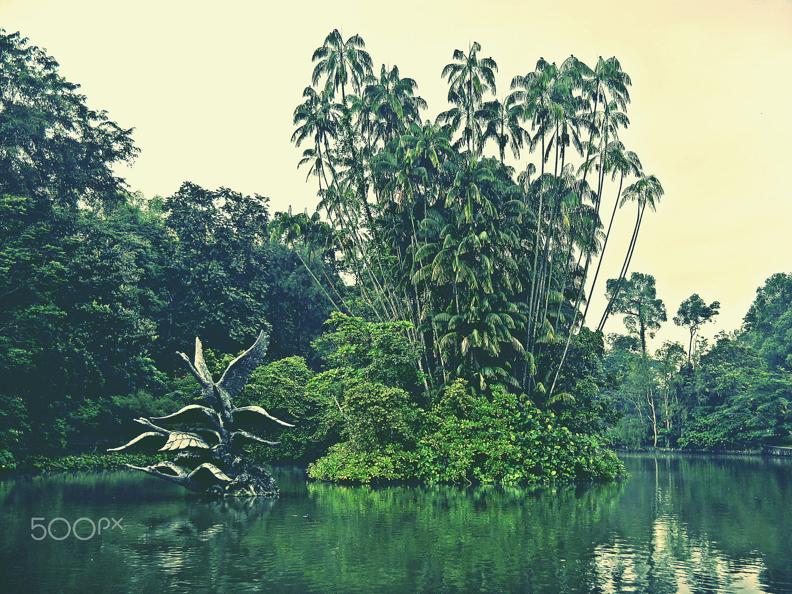 Nikon Coolpix S1200pj sample photo. Botanic garden of singapore, tropic greenery photography