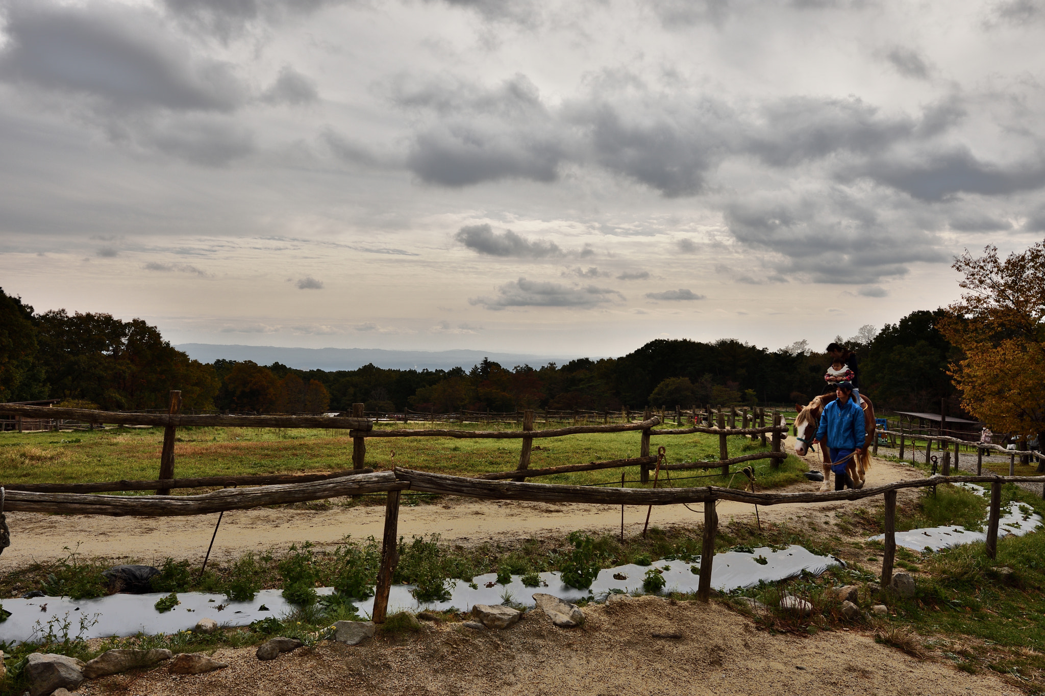 Nikon AF-S Nikkor 16-35mm F4G ED VR sample photo. Farm photography