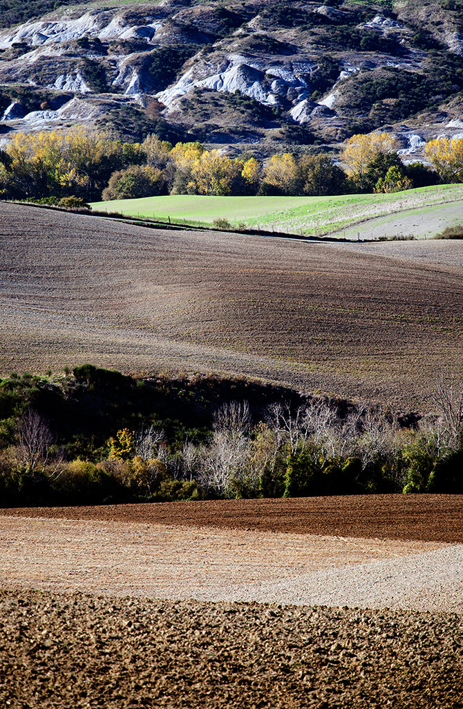 Canon EF 70-200mm F4L IS USM sample photo. Trame (textures) - roy in val d'orcia photography