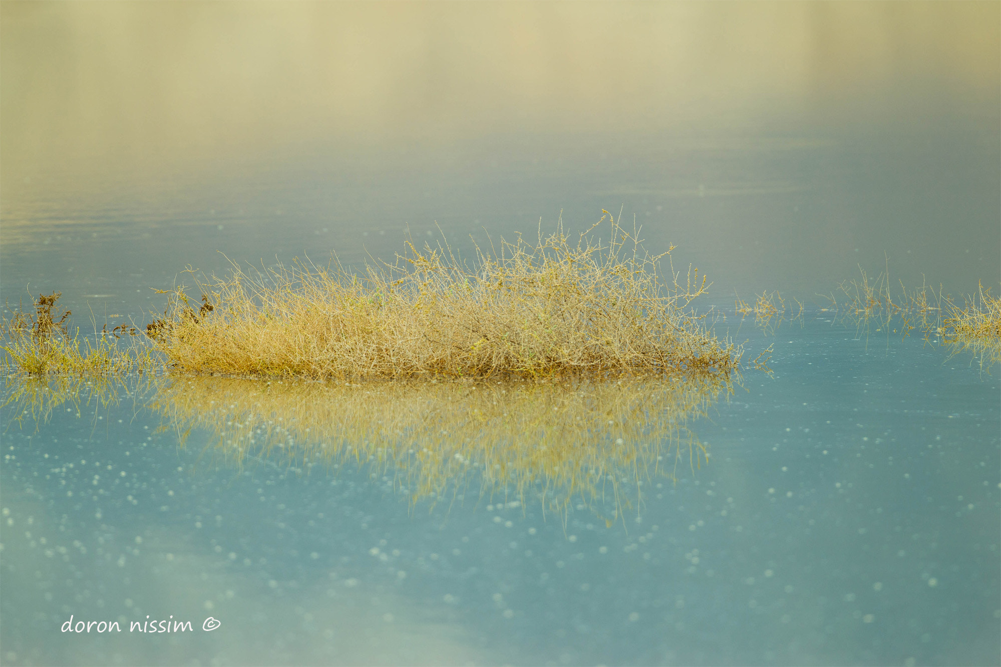 Canon EF 500mm F4L IS USM sample photo. @ photography