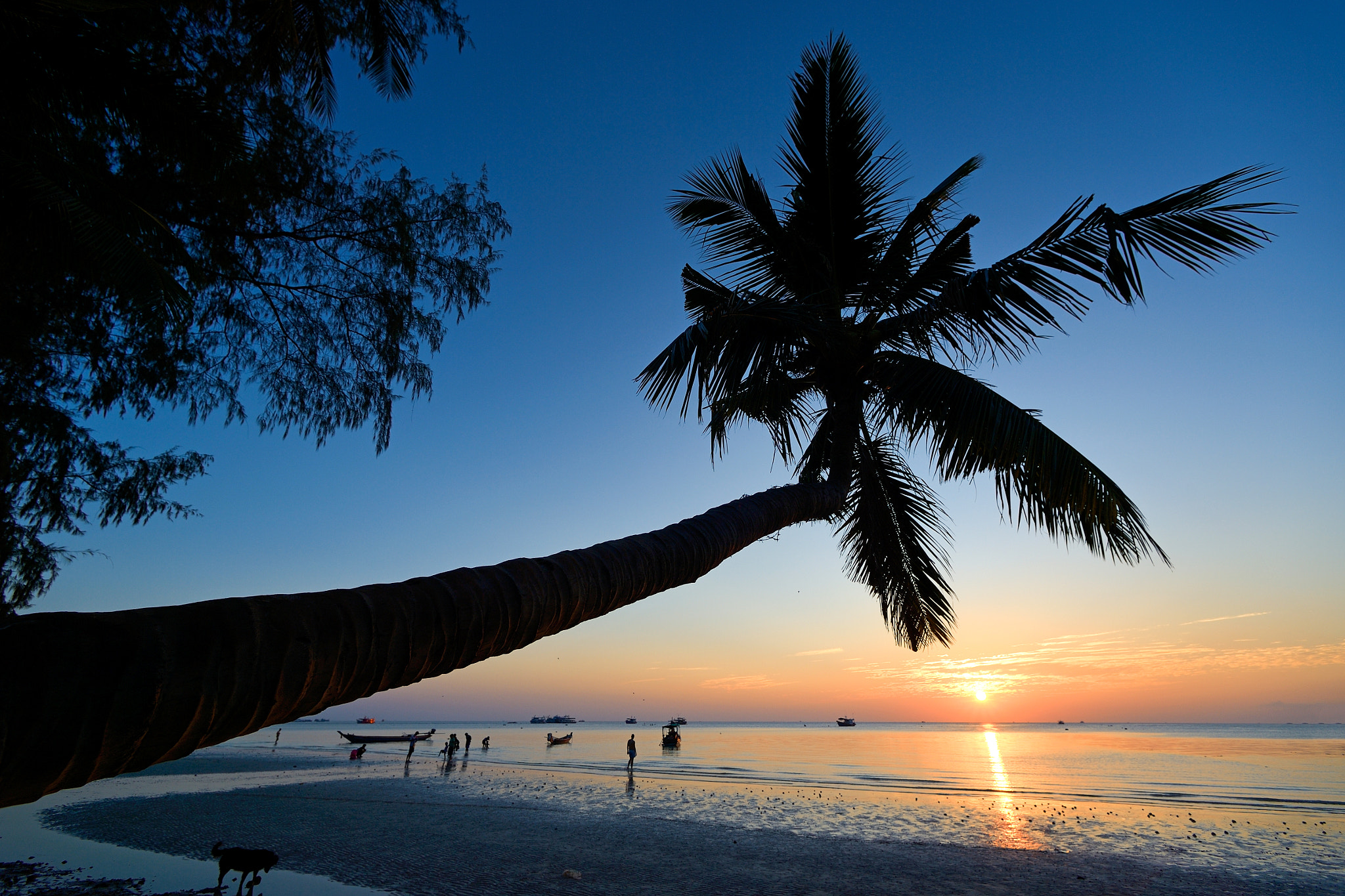 Nikon Df + Nikon AF Nikkor 14mm F2.8D ED sample photo. Palm koh tao photography