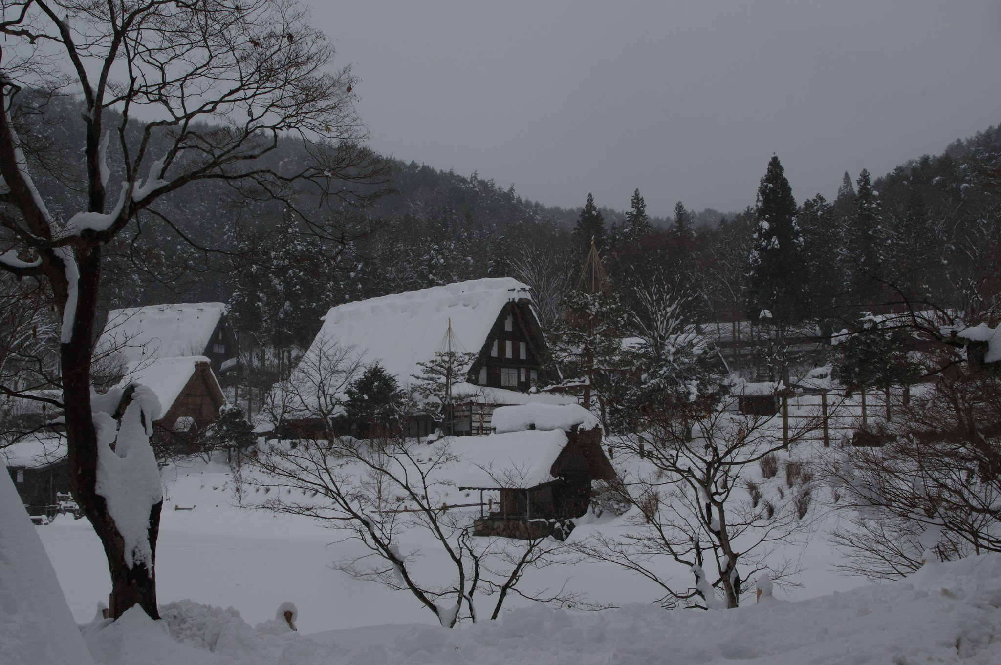 Pentax K-3 + smc PENTAX-F 28mm F2.8 sample photo