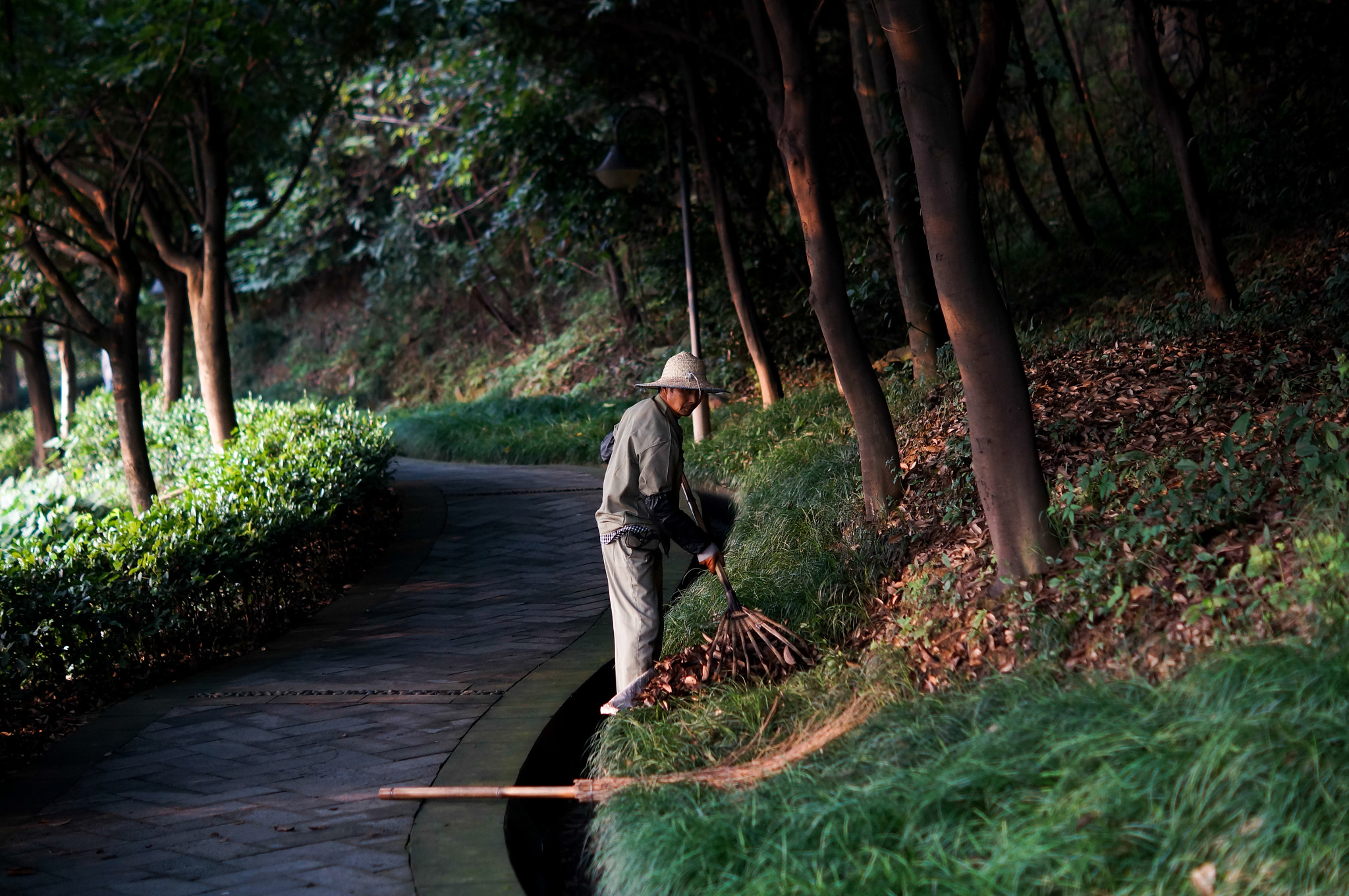 Sony SLT-A57 + Sony DT 50mm F1.8 SAM sample photo. 人 photography