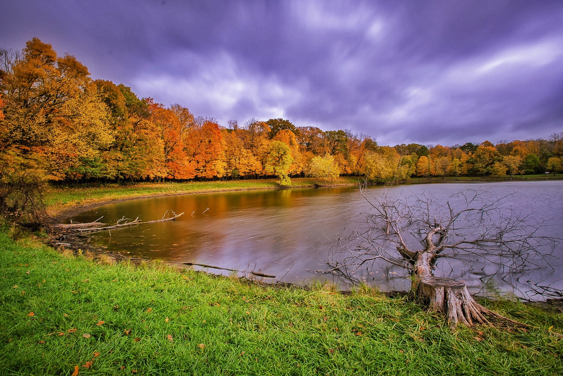 Nikon AF-S Nikkor 17-35mm F2.8D ED-IF sample photo. Golden fall & pond. photography