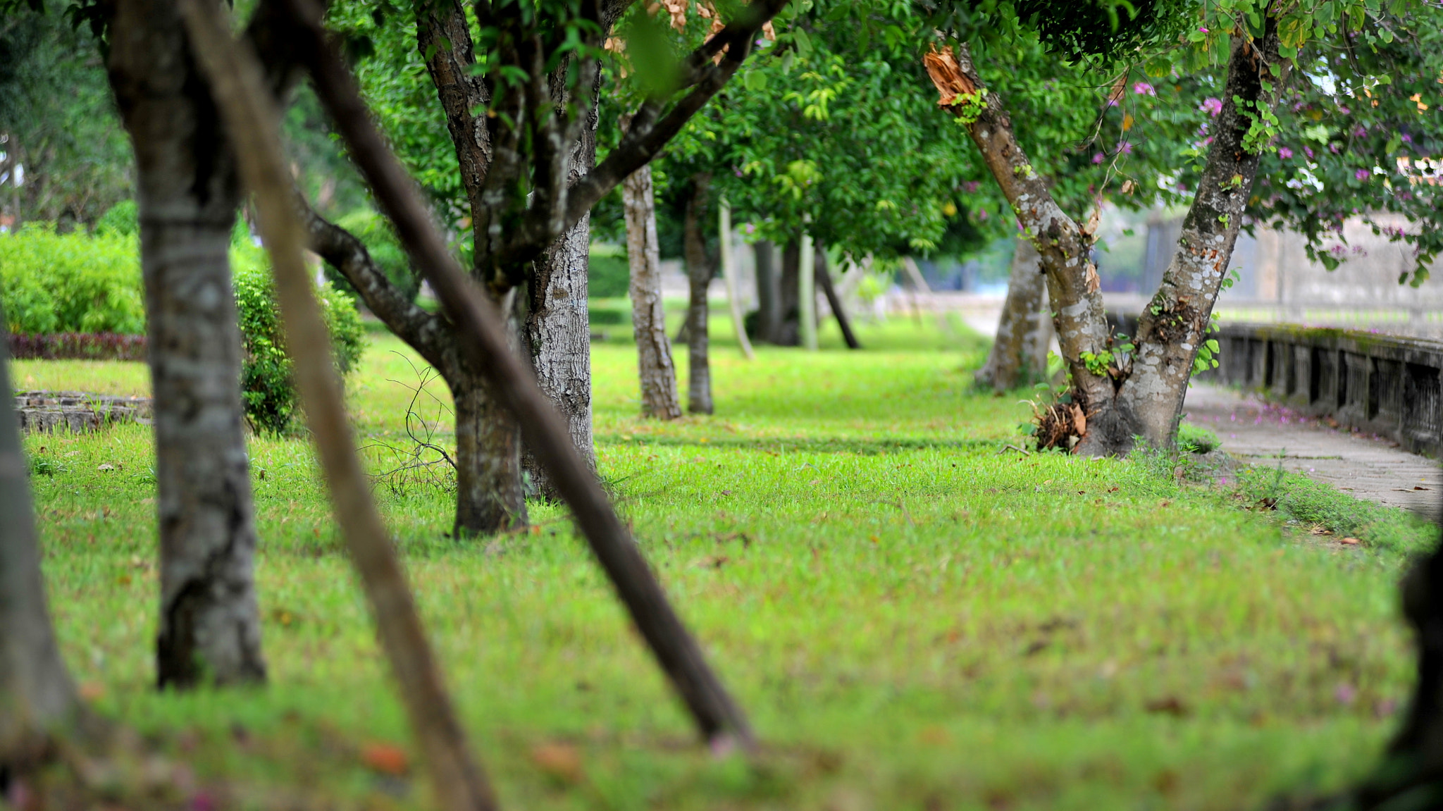 Nikon AF-Nikkor 80-200mm F2.8D ED sample photo. There is always a way photography