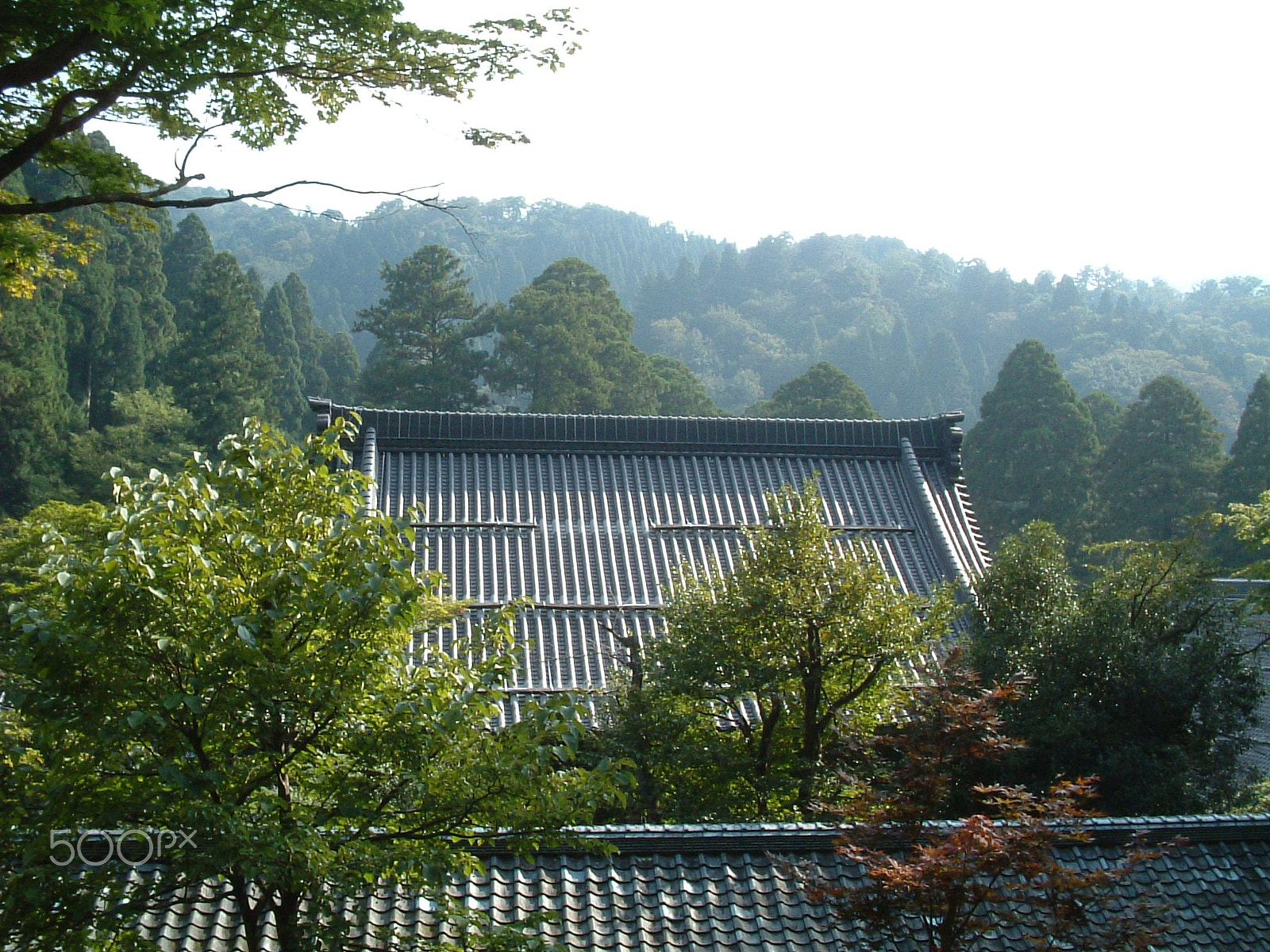 Fujifilm FinePix F402 sample photo. Eiheiji temple in fukui photography