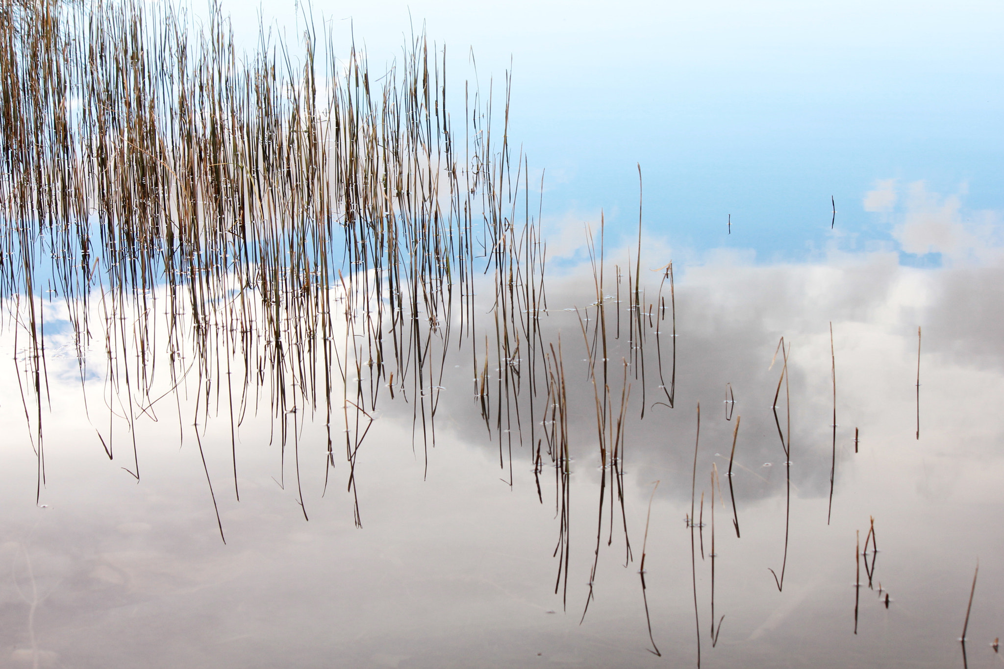 Canon EF-S 55-250mm F4-5.6 IS II sample photo. When the sky meets water photography