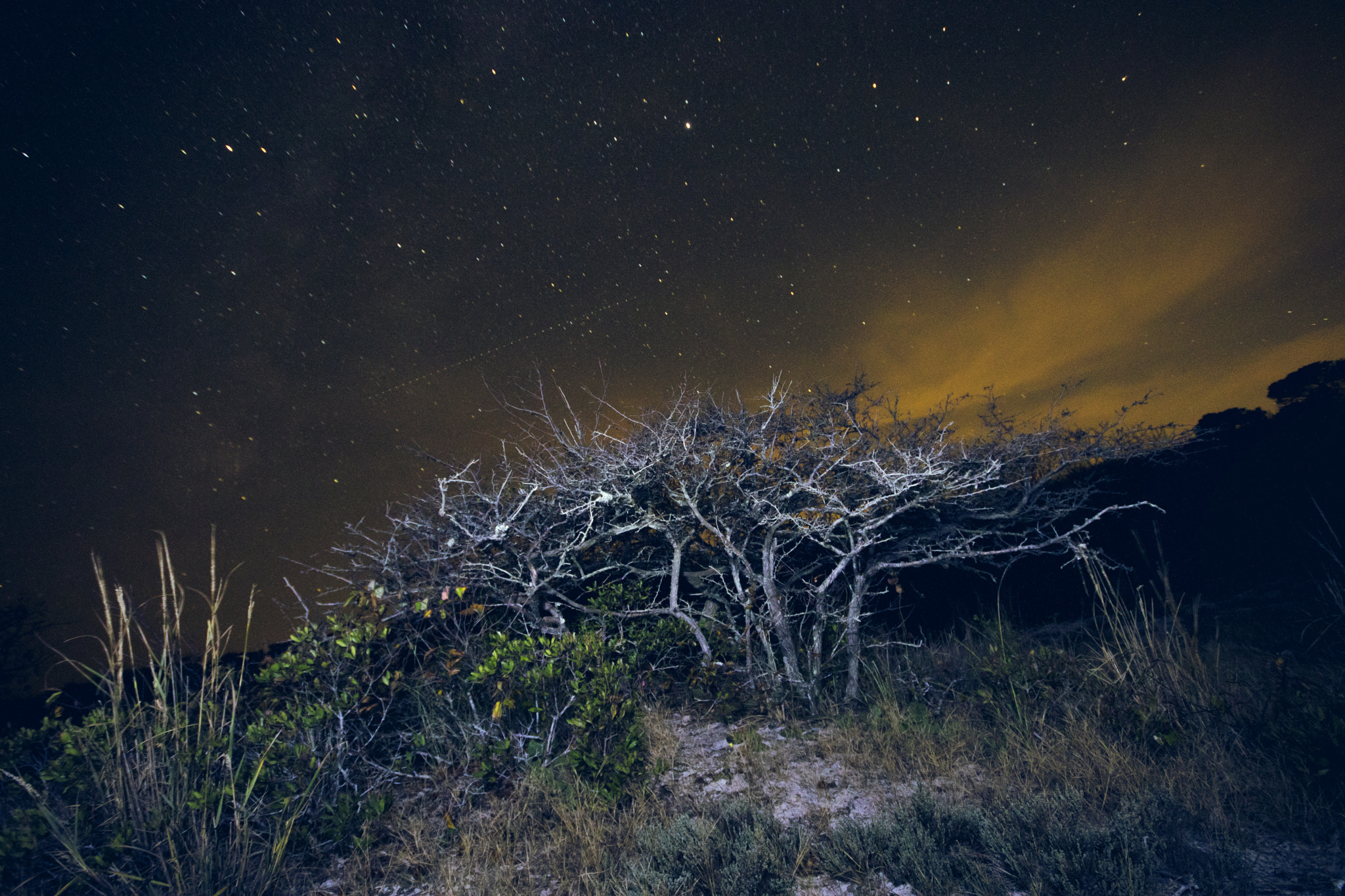 Canon EOS 80D sample photo. Island at night #1 photography