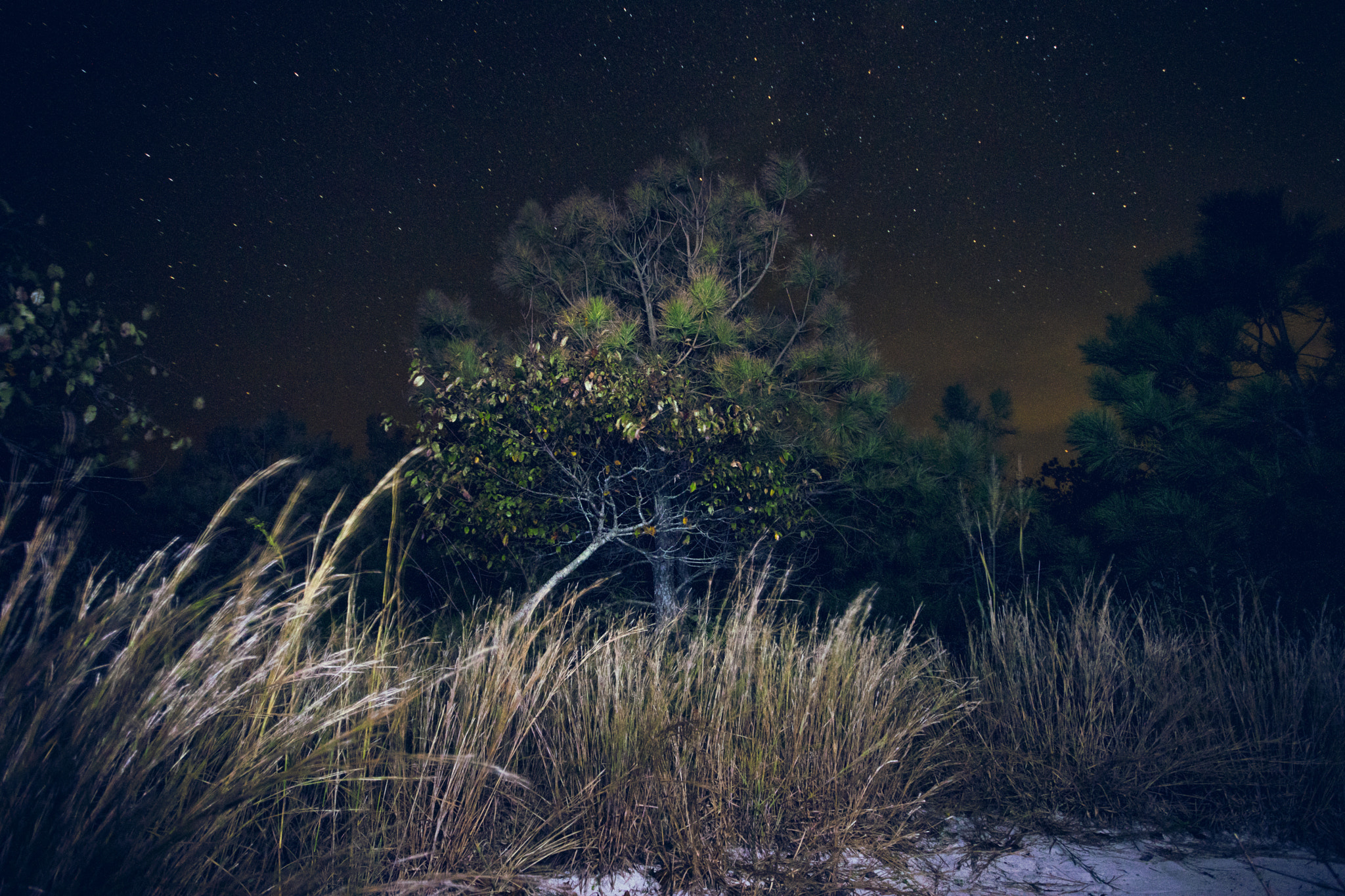 Canon EOS 80D + Sigma 10-20mm F4-5.6 EX DC HSM sample photo. Island at night #2 photography