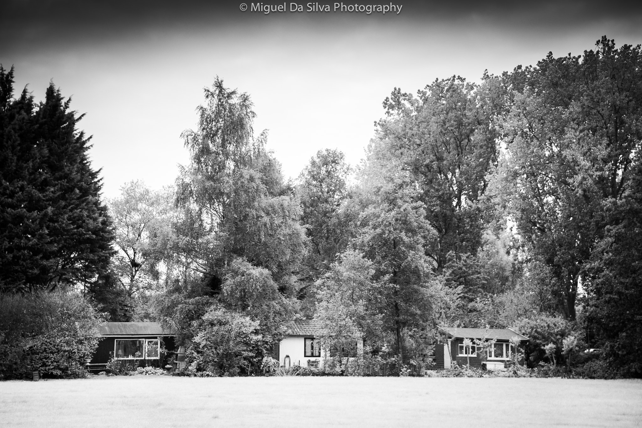Sony Alpha DSLR-A900 sample photo. 3 little houses, 3 little pigs and a wolf photography