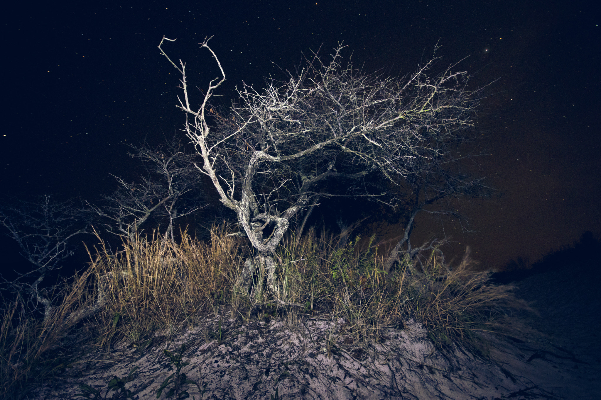 Canon EOS 80D + Sigma 10-20mm F4-5.6 EX DC HSM sample photo. Island at night #3 photography