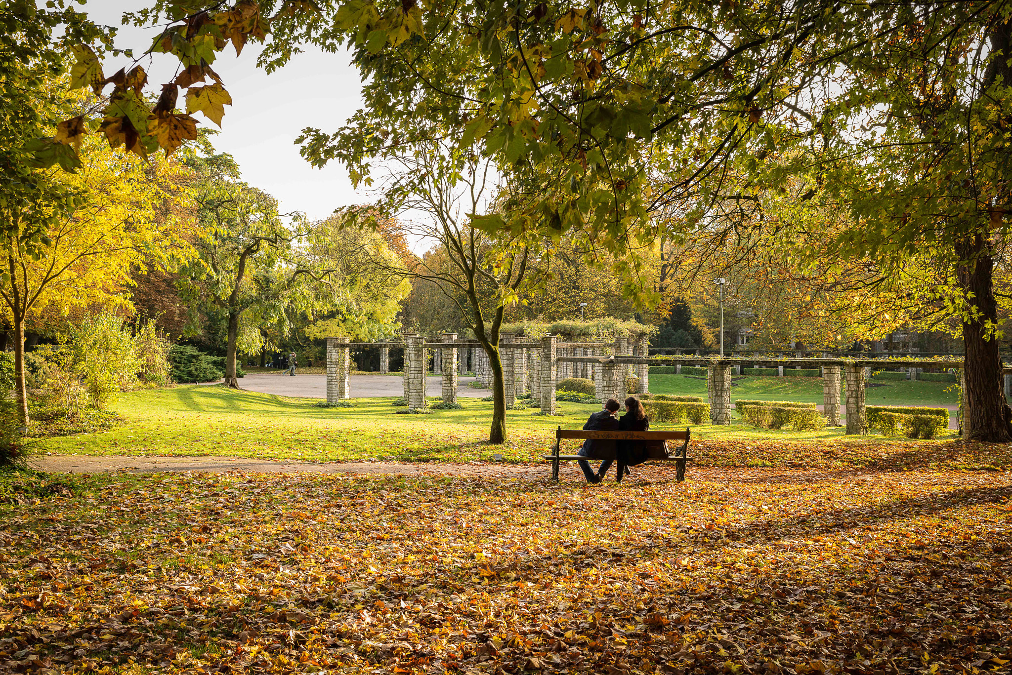 Nikon D800E + Nikon AF-S Nikkor 35mm F1.4G sample photo. Autumn photography