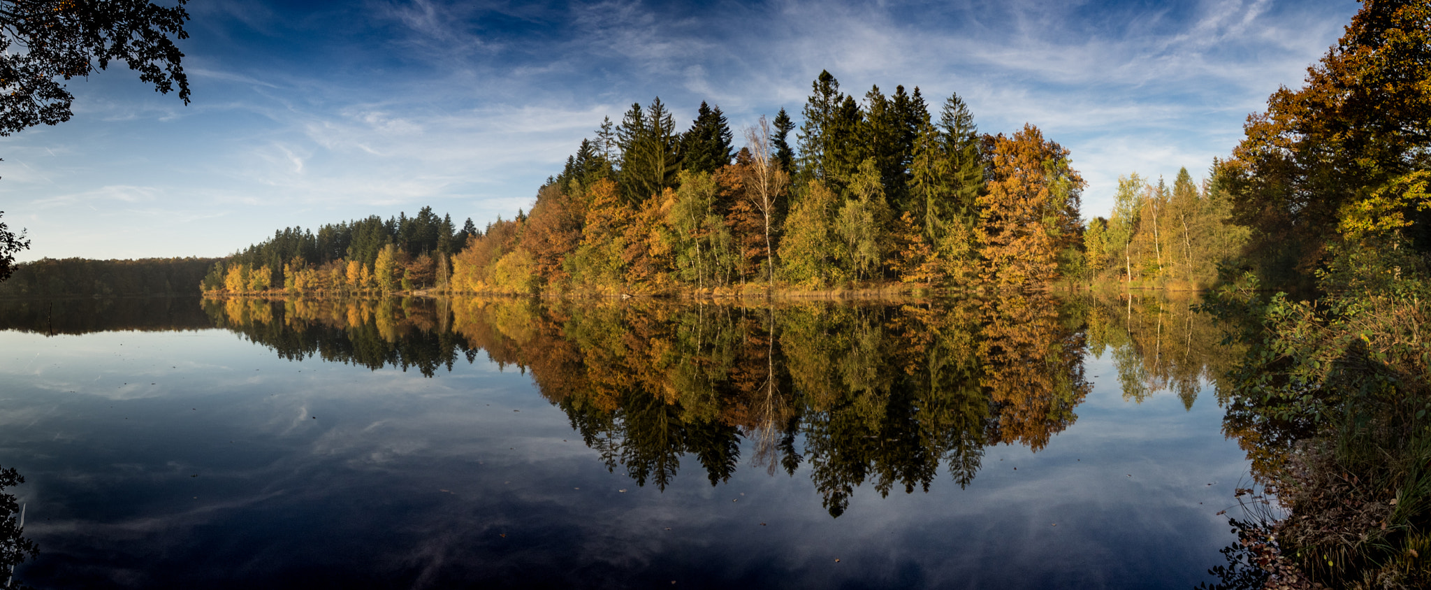 Olympus OM-D E-M1 + OLYMPUS M.9-18mm F4.0-5.6 sample photo. Autumns lights and reflections photography