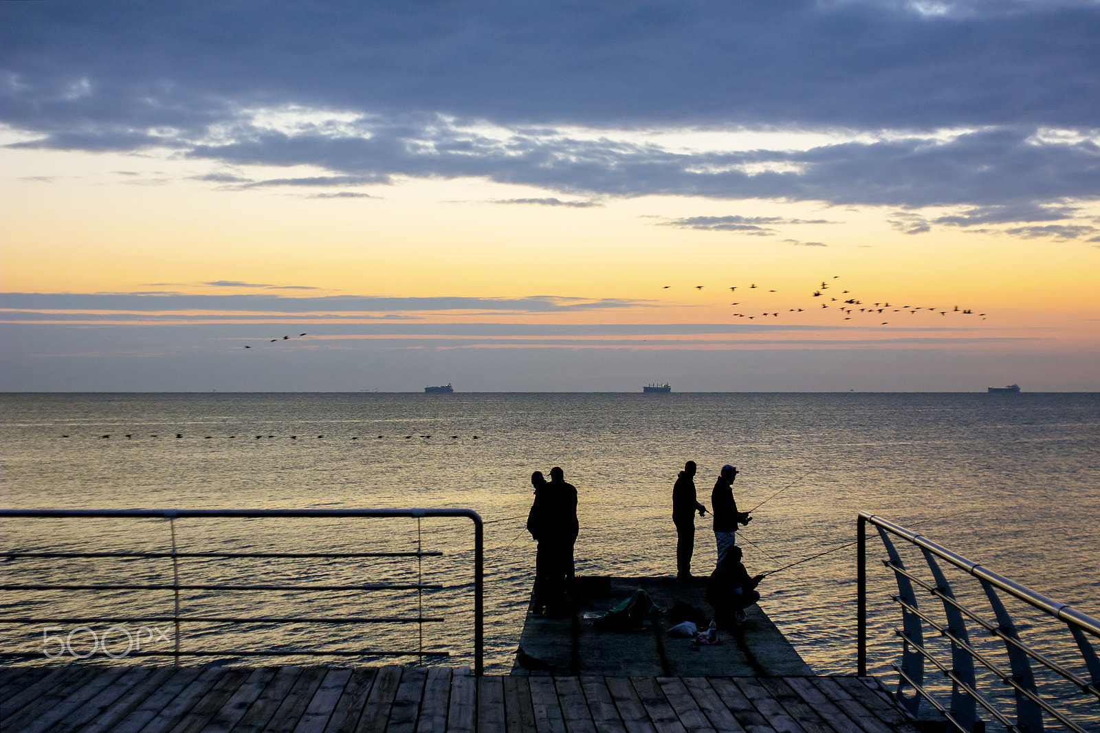 Canon EF 35-80mm f/4-5.6 sample photo. Migratory birds photography