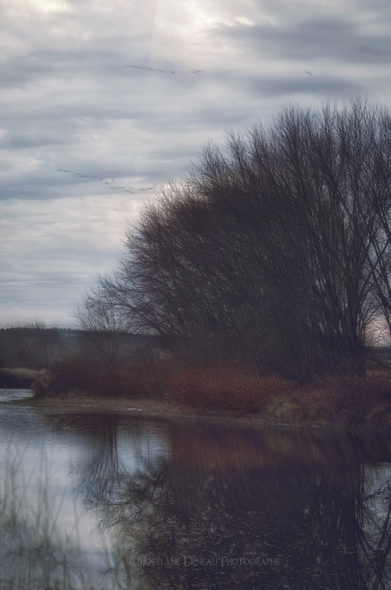 Pentax K-5 + A Series Lens sample photo. Cloudy autumn days photography