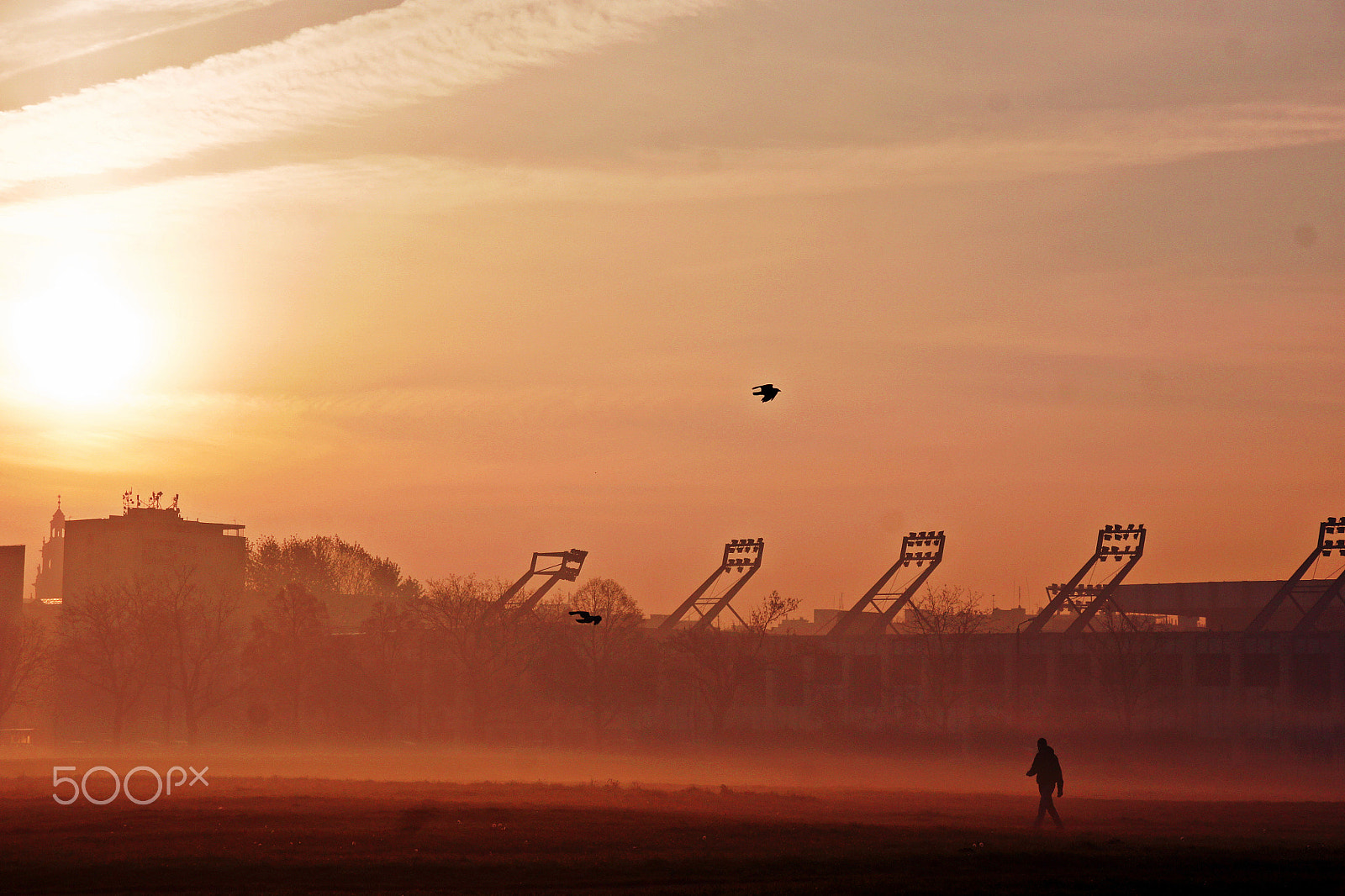 Sony Alpha DSLR-A500 sample photo. Morning sun photography