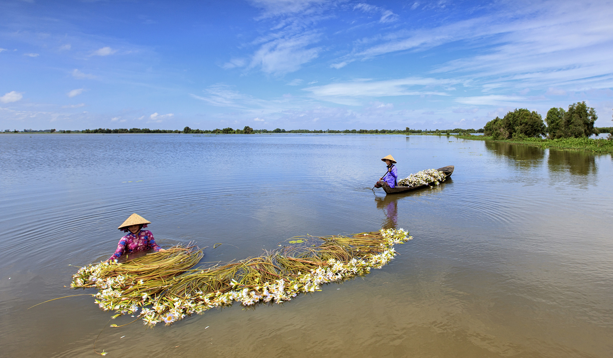 Canon EOS-1Ds Mark III sample photo. Flooding in mekong river delta photography