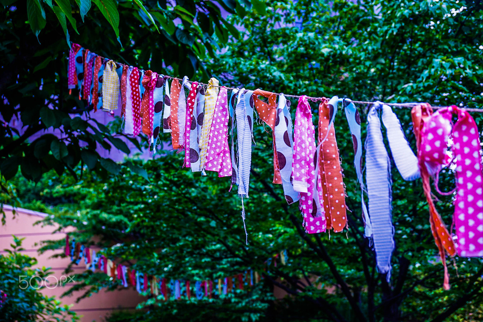 Sony E 16-50mm F3.5-5.6 PZ OSS sample photo. Japanese ribbon tradition photography
