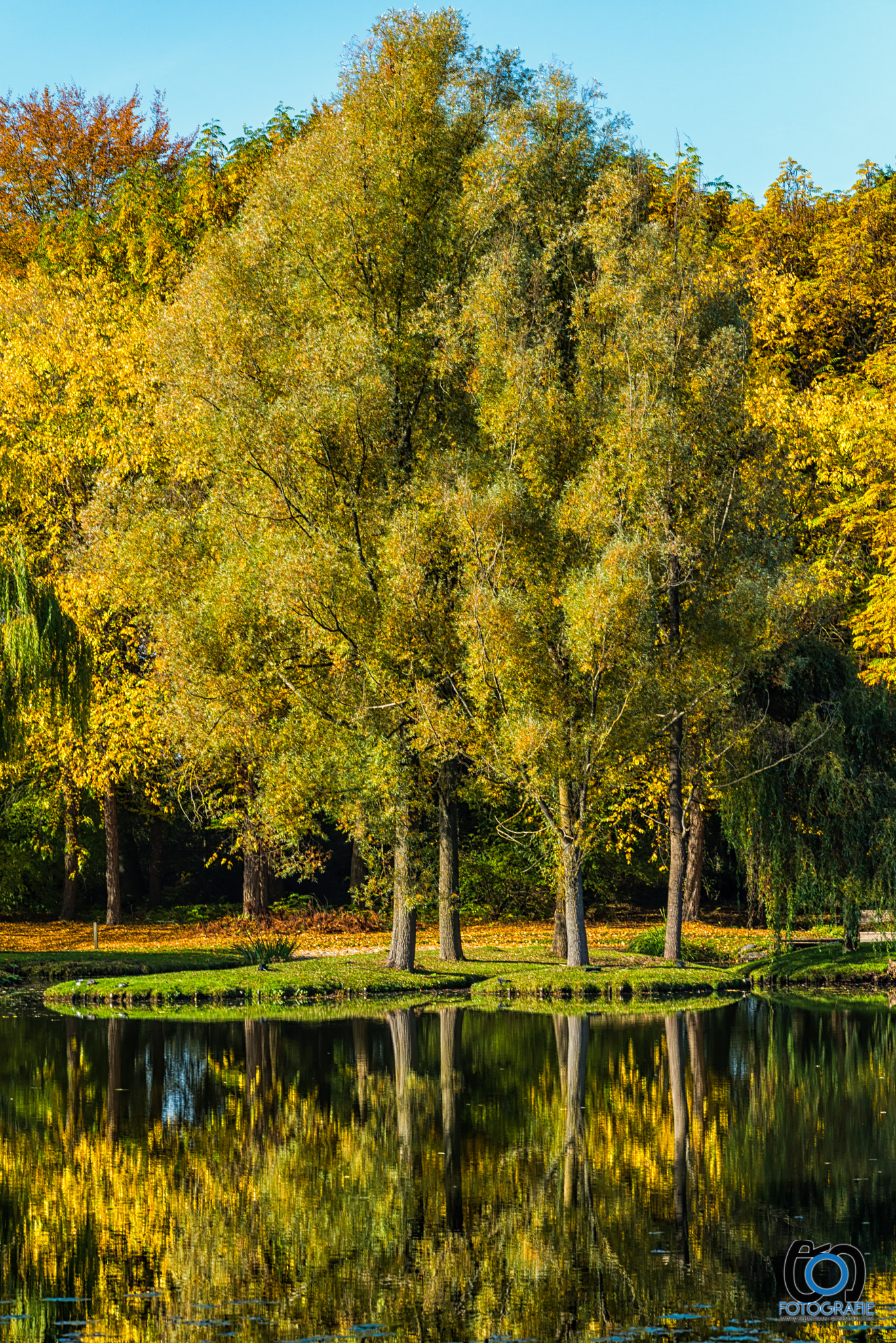 Nikon D800 + Sigma 70-200mm F2.8 EX DG OS HSM sample photo. Mirror autumn trees photography