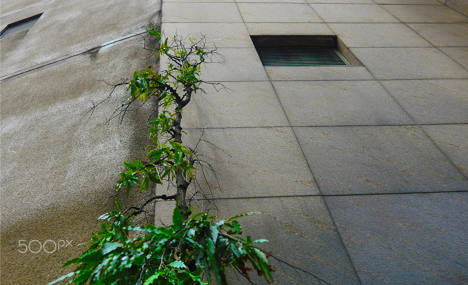 Olympus M.Zuiko Digital 14-42mm F3.5-5.6 II R sample photo. Breaking the wall photography