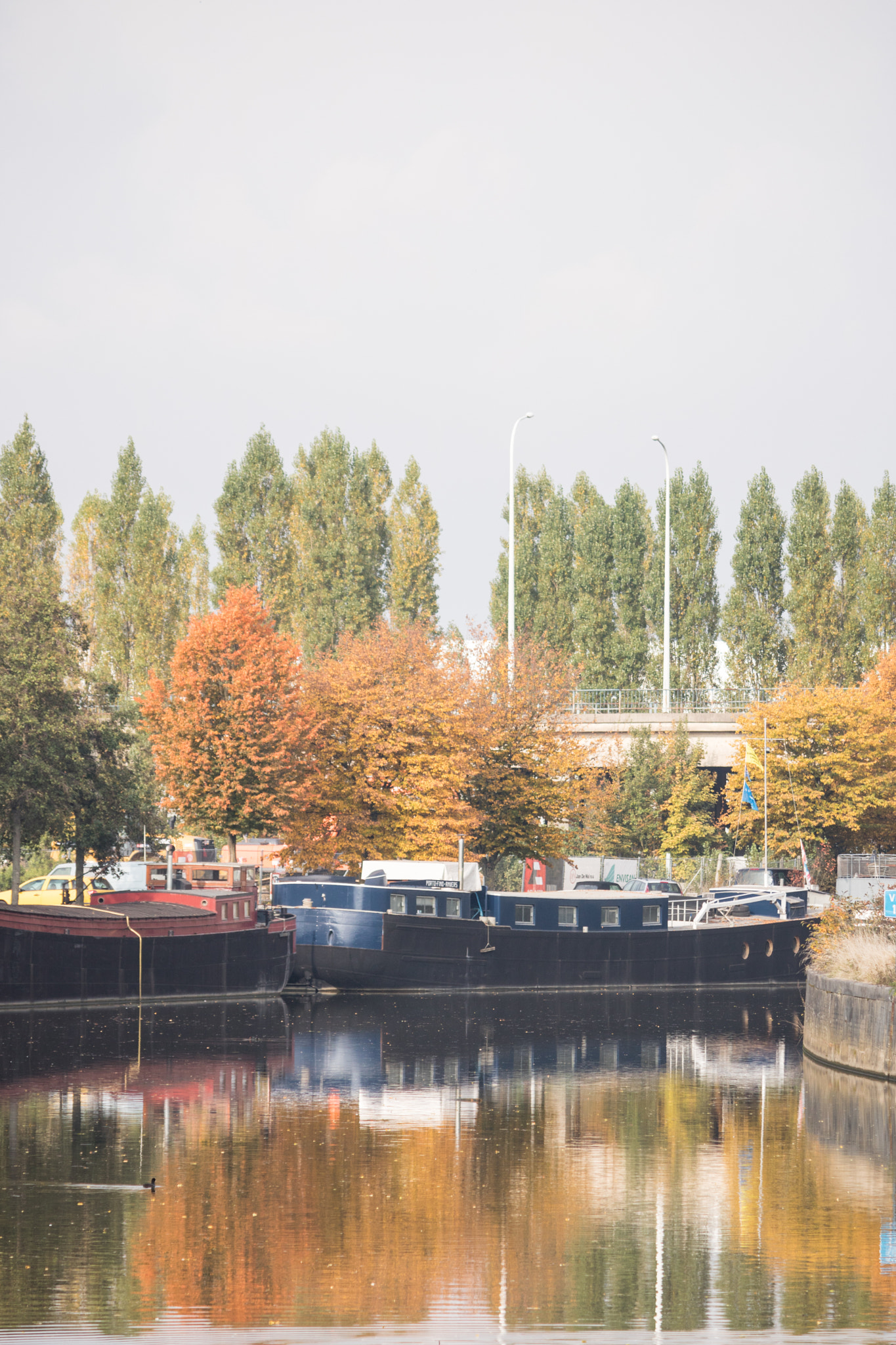 Canon EF-S 55-250mm F4-5.6 IS sample photo. Fall colours, boats, reflections photography