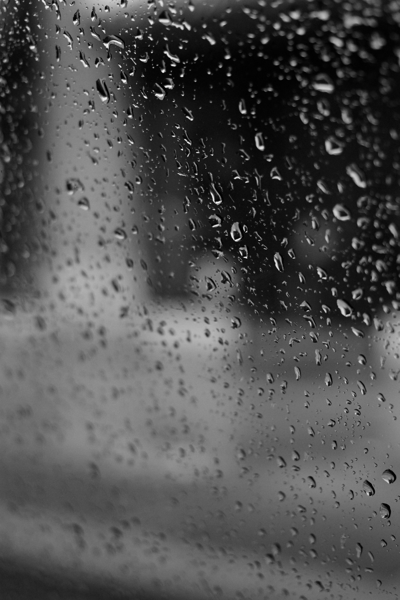 Canon EF 40mm F2.8 STM sample photo. Rain drops photography