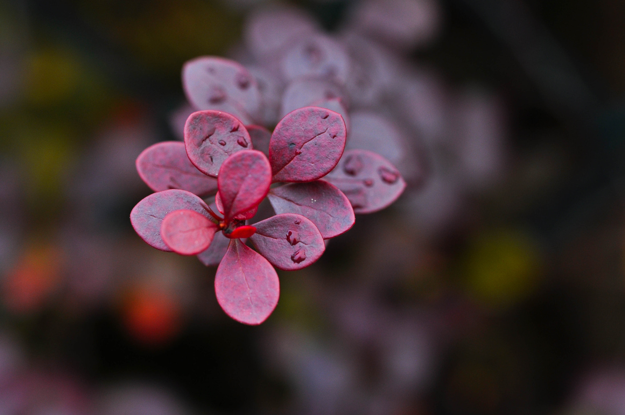 Nikon D5000 sample photo. Darkness photography
