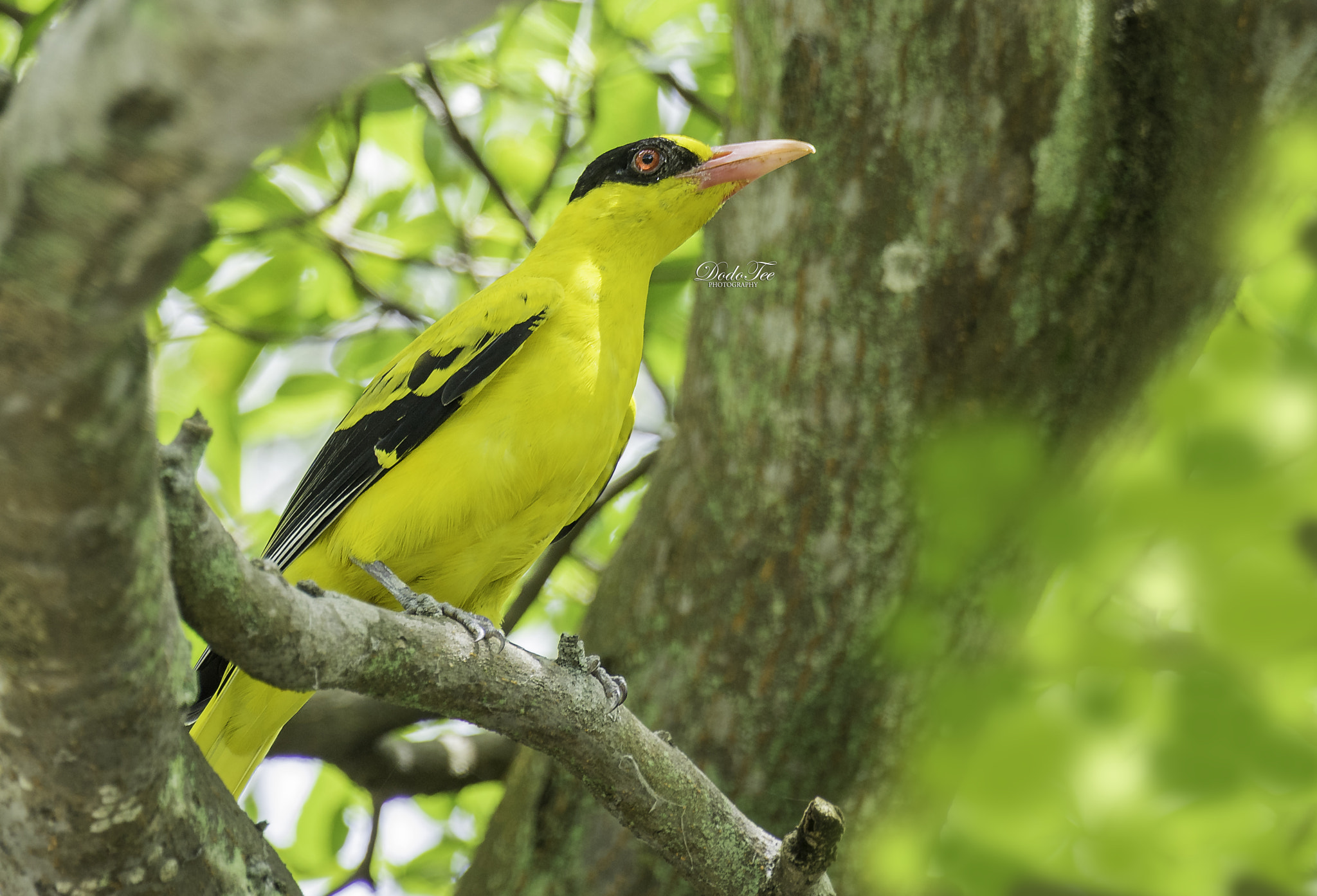 Sony 70-400mm F4-5.6 G SSM II sample photo