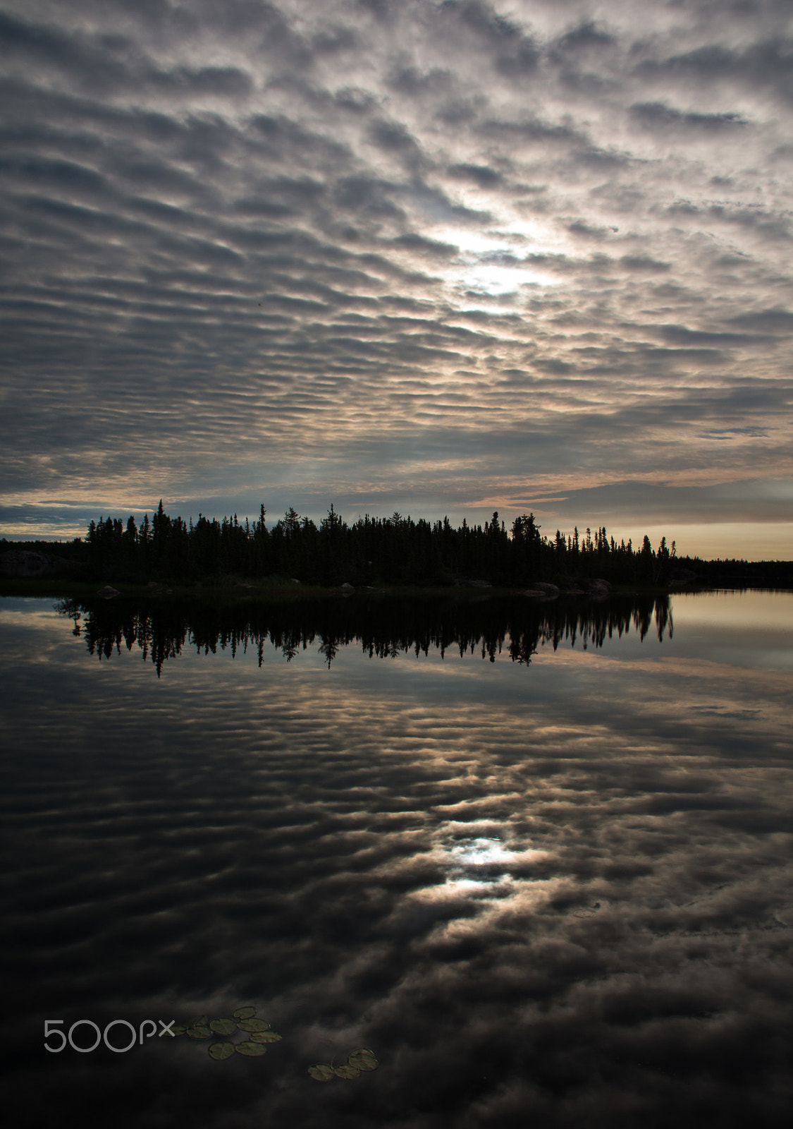 Sony SLT-A77 sample photo. The shining photography