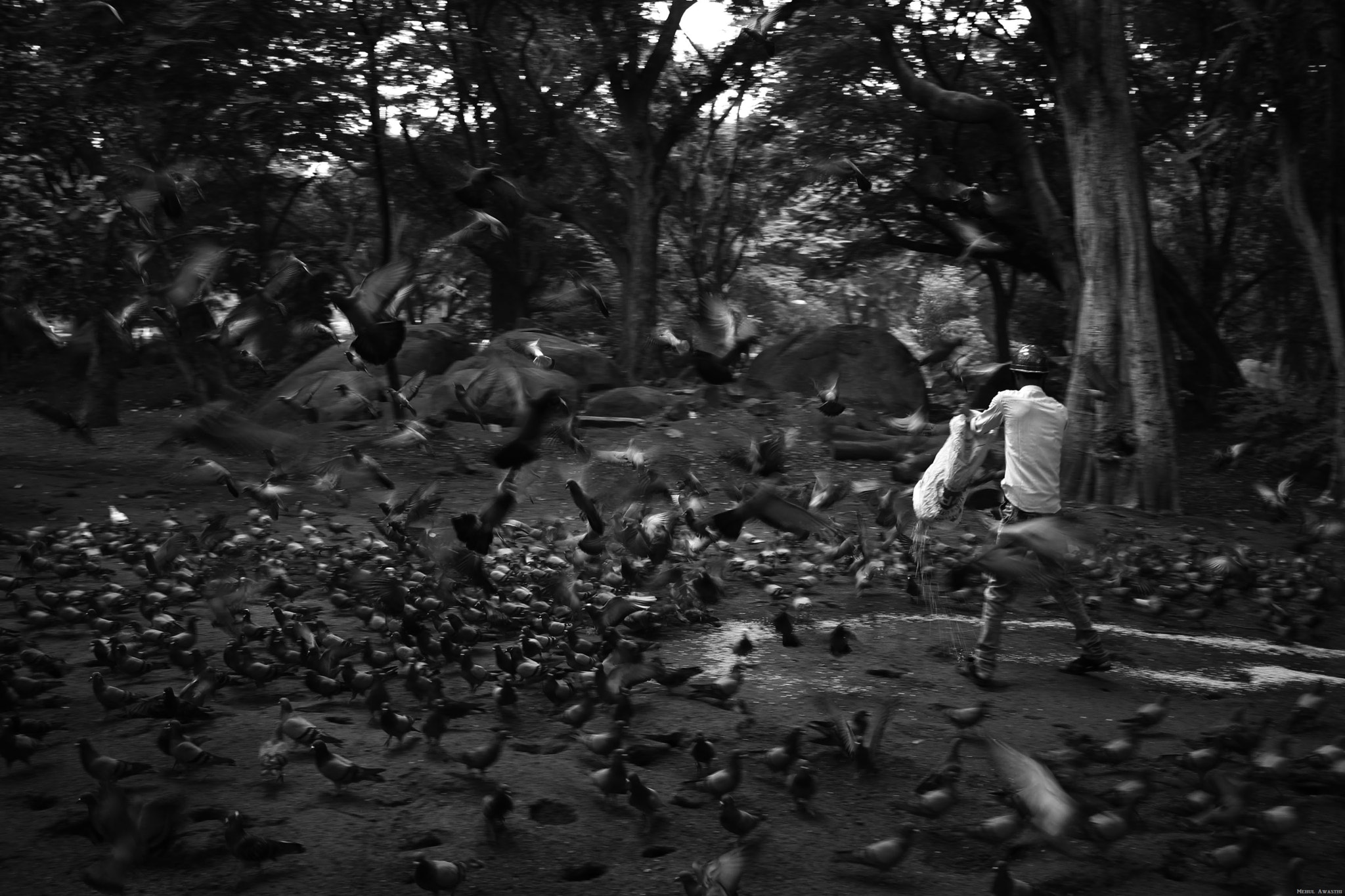Canon EF-S 24mm F2.8 STM sample photo. Chaos photography