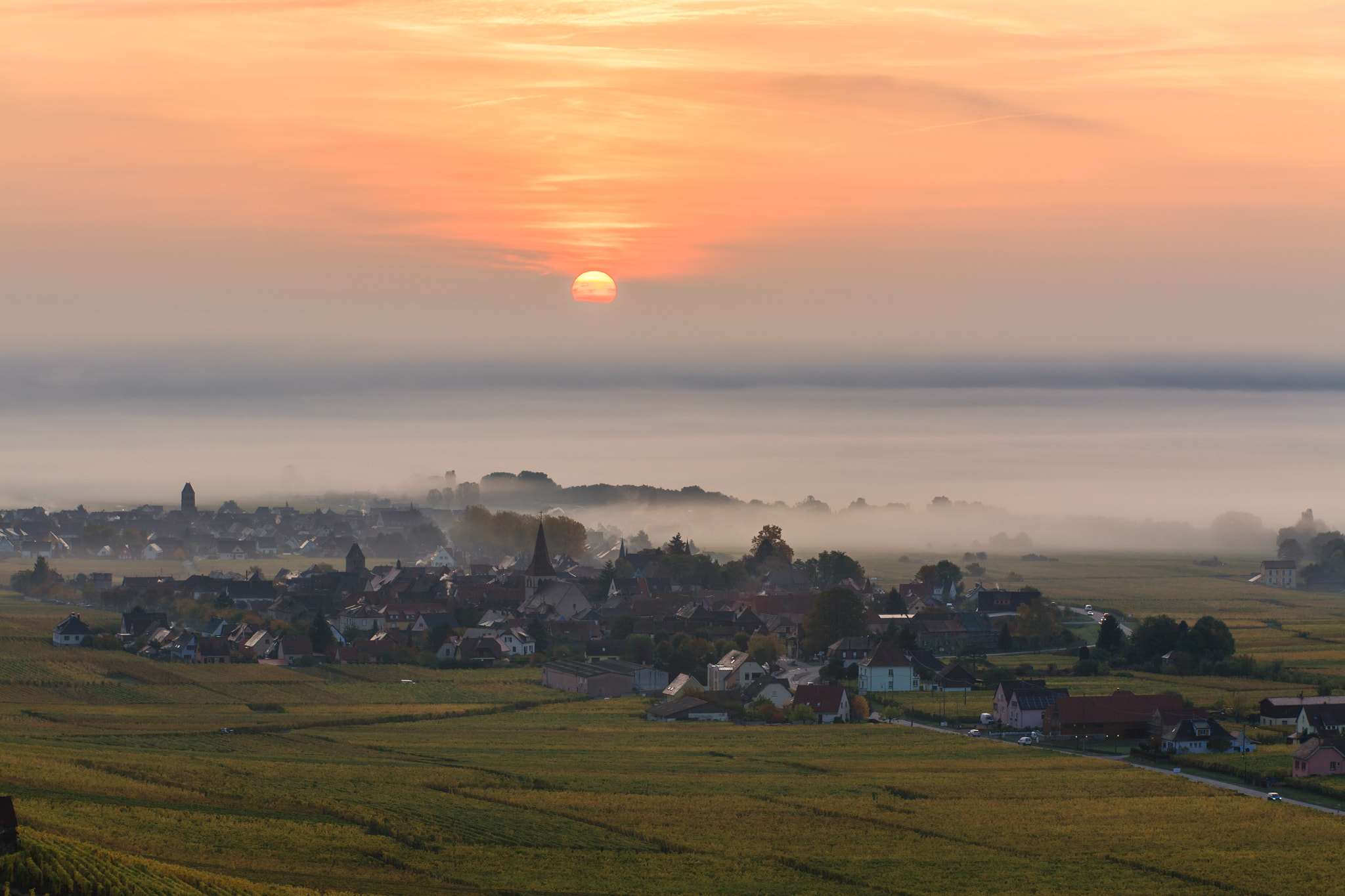 Canon EOS 5D + Canon EF 70-200mm F4L USM sample photo. Ambiance matinale sur le vignoble d'alsace photography