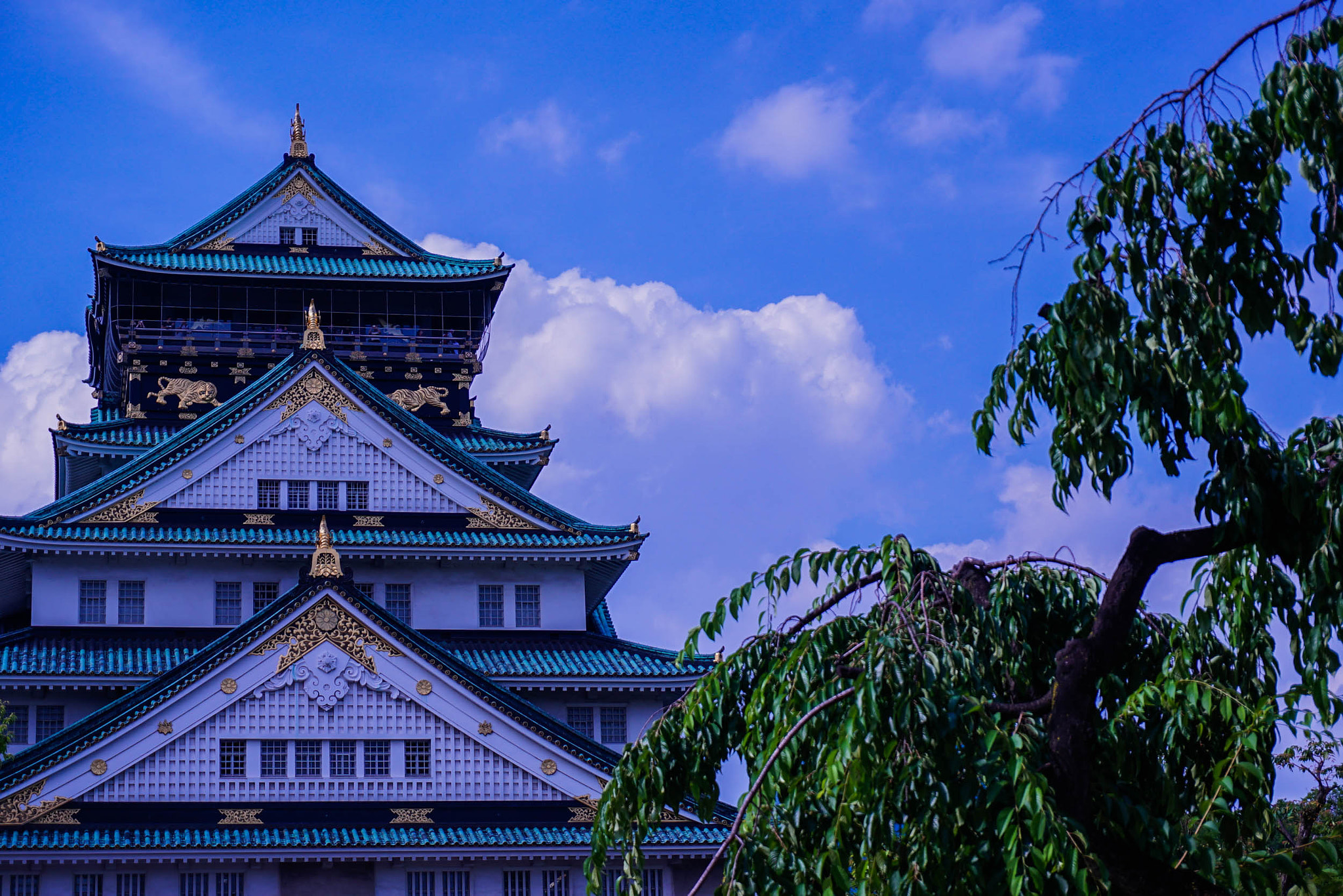 Sony E 16-50mm F3.5-5.6 PZ OSS sample photo. Japanese castle photography
