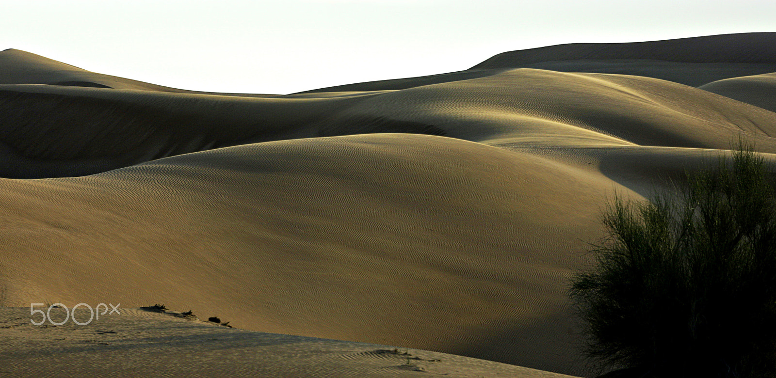 Canon EOS-1D Mark III sample photo. Landscape photography