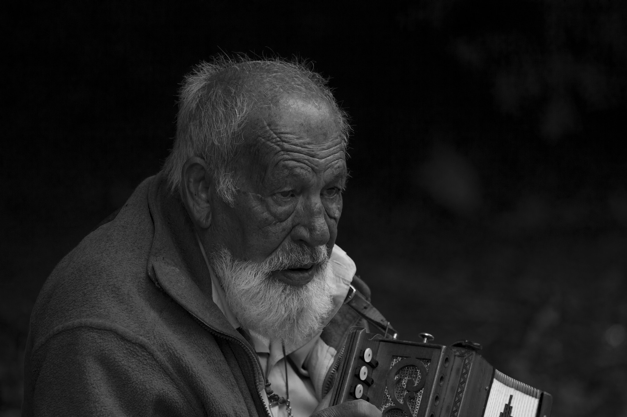 Canon EF 70-200mm F2.8L USM sample photo. M photography
