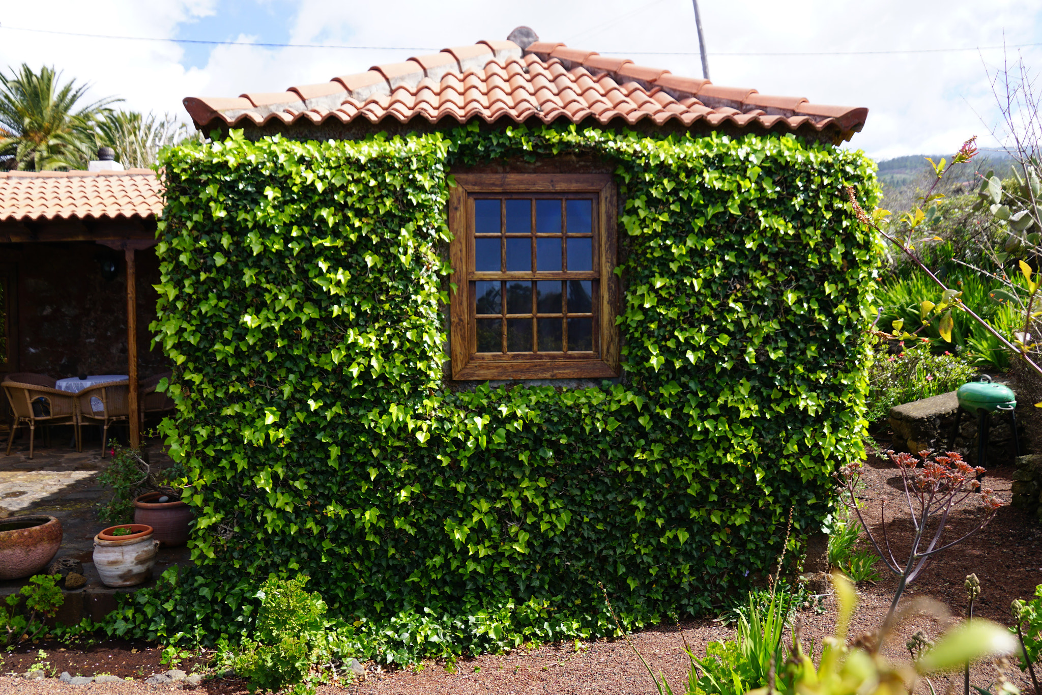 Sony DT 18-250mm F3.5-6.3 sample photo. Green house photography