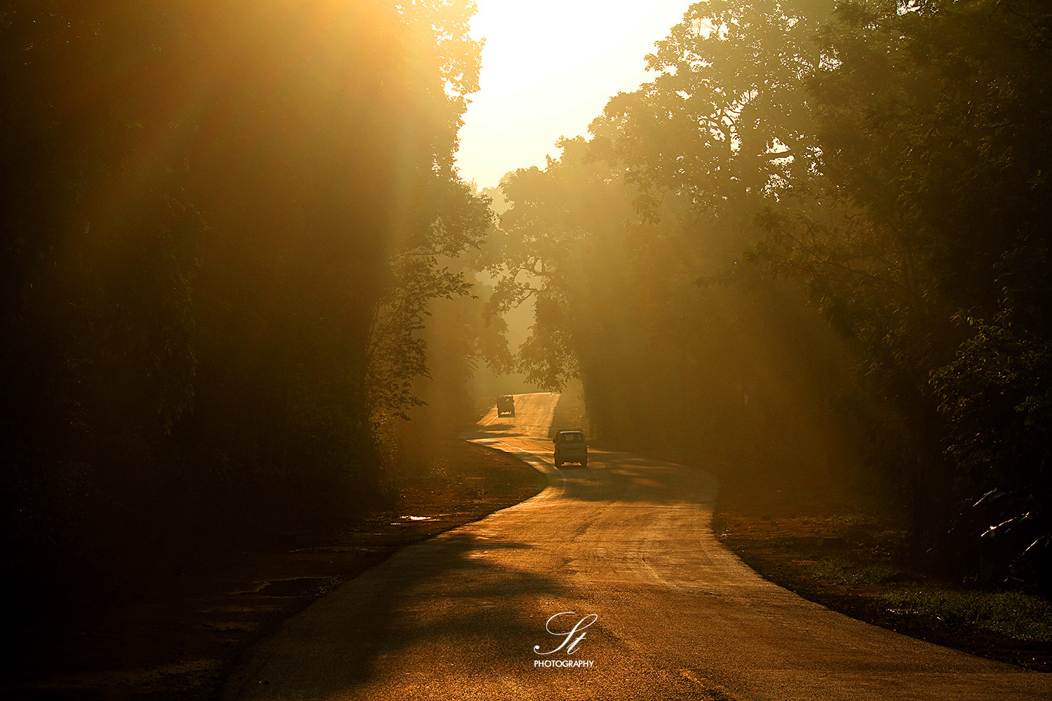 Canon EF-S 55-250mm F4-5.6 IS sample photo. Coorg photography