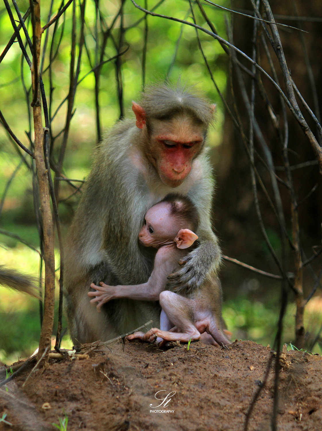 Canon EF-S 55-250mm F4-5.6 IS sample photo. Motherhood photography