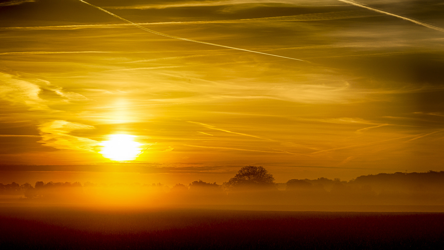 Canon EOS-1D Mark IV sample photo. Die sonne besiegt den nebel photography