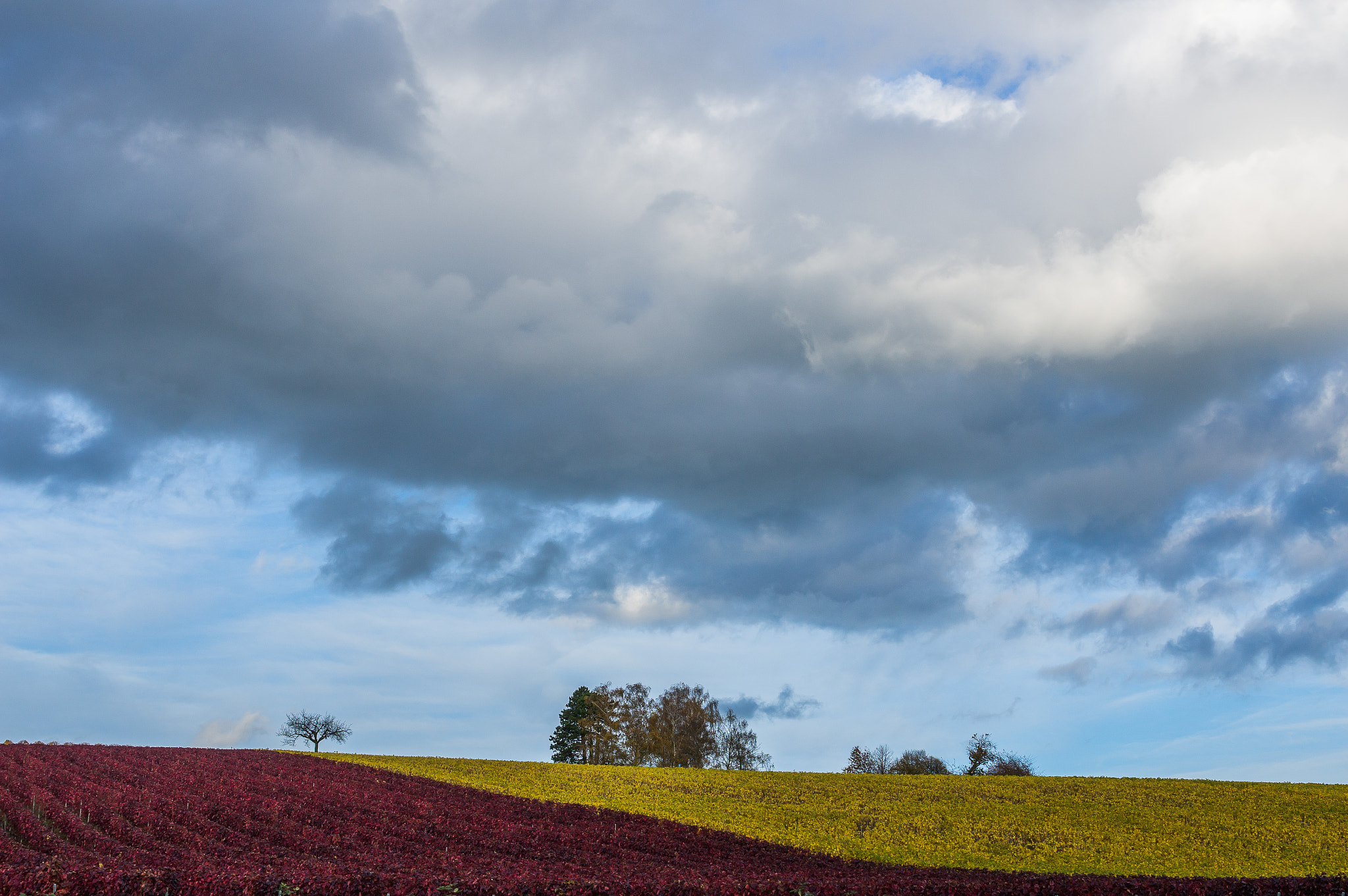 Sony Alpha NEX-6 + Sony DT 35mm F1.8 SAM sample photo. Autumn impression vii photography