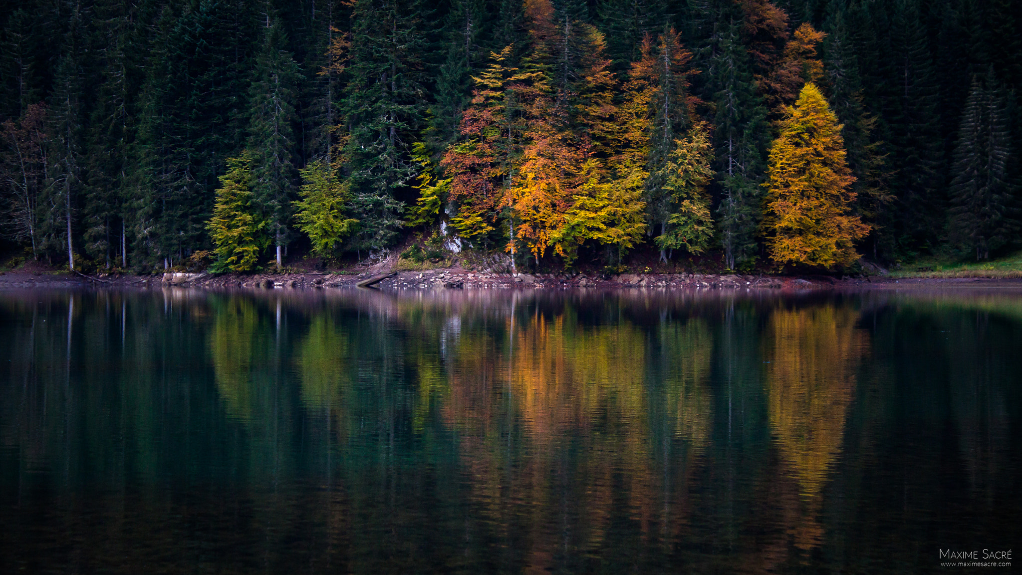 Canon EOS 500D (EOS Rebel T1i / EOS Kiss X3) sample photo. Autumn reflection photography