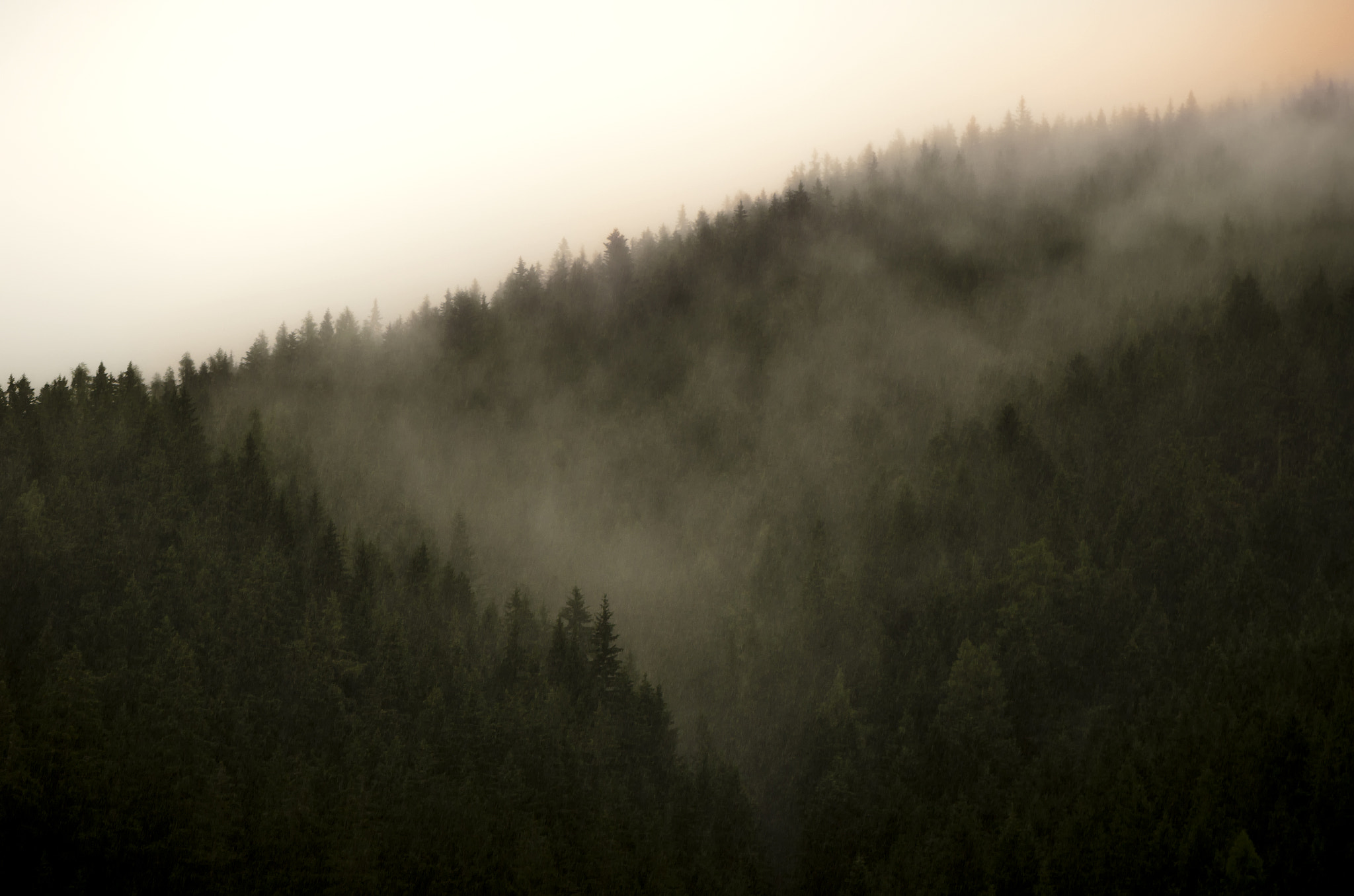 Nikon AF-S Micro-Nikkor 105mm F2.8G IF-ED VR sample photo. In hopes of better weather photography