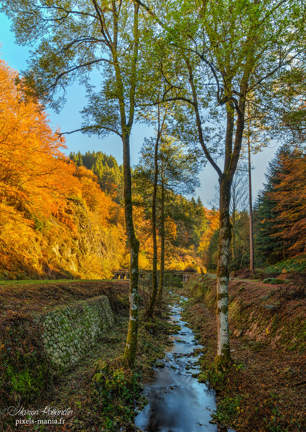 Nikon D500 sample photo. Petite riviere photography