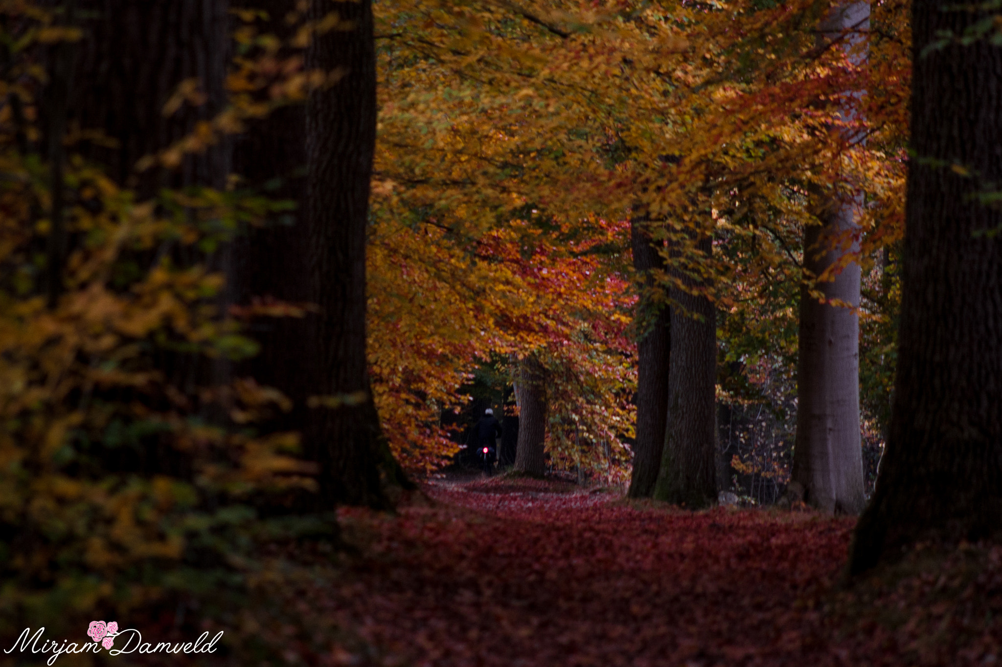 Canon EF 75-300mm f/4-5.6 USM sample photo. Doorkijkje photography