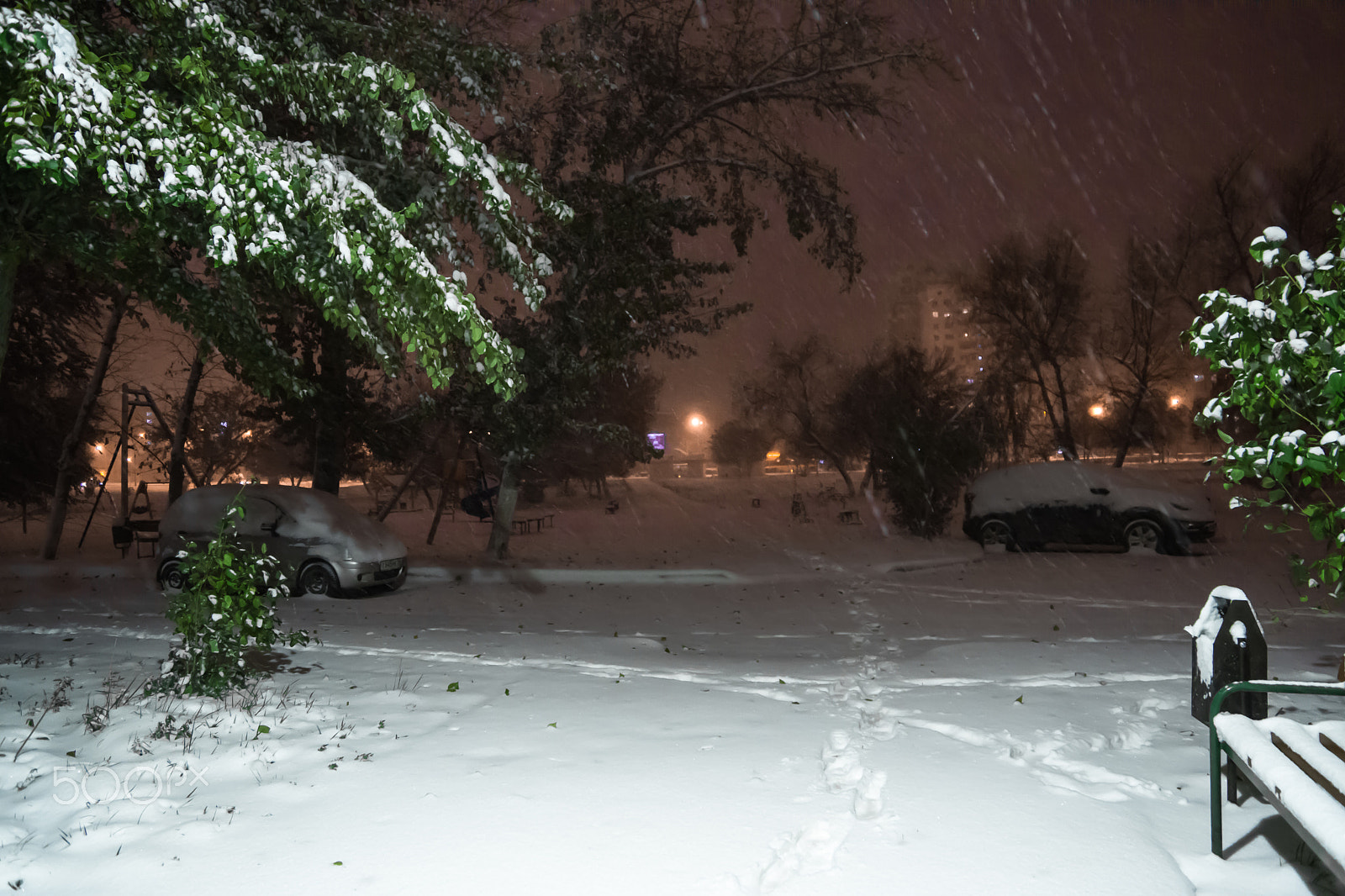 Sony SLT-A65 (SLT-A65V) sample photo. The arrival of winter. snowfall. photography