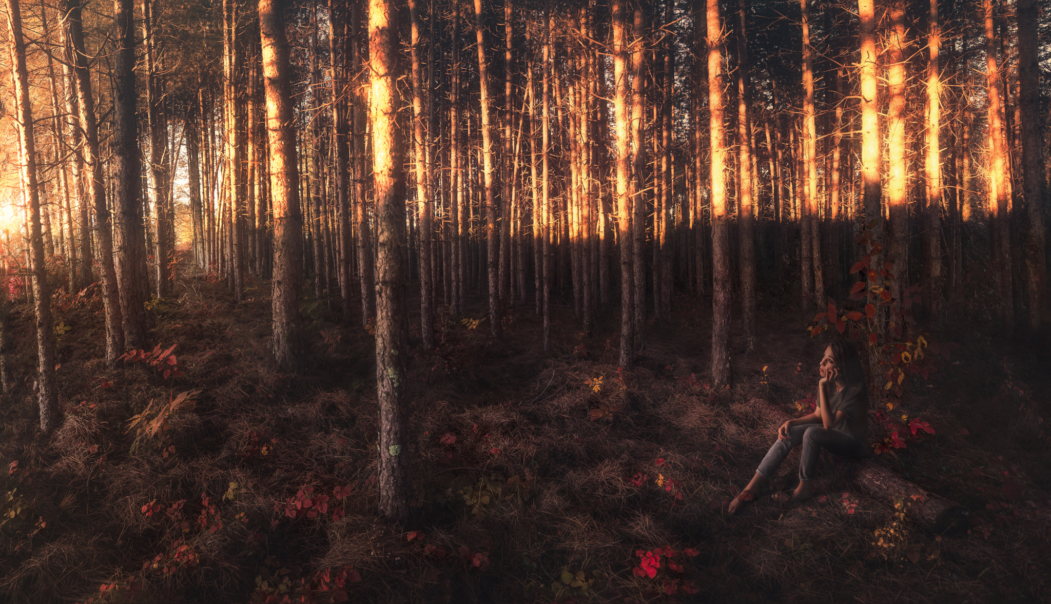 Nikon D600 + Sigma 24-105mm F4 DG OS HSM Art sample photo. The girl and the maze photography