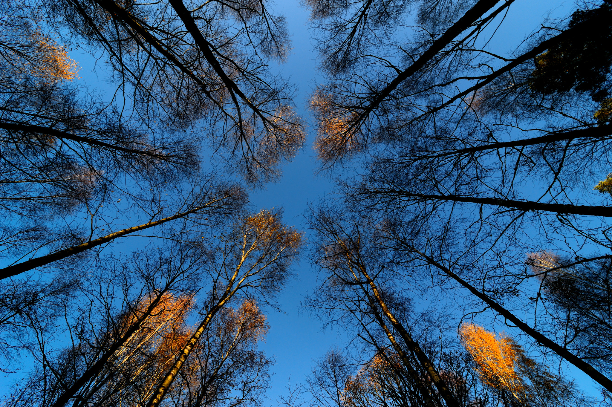 Nikon D3200 sample photo. Bright autumn day photography