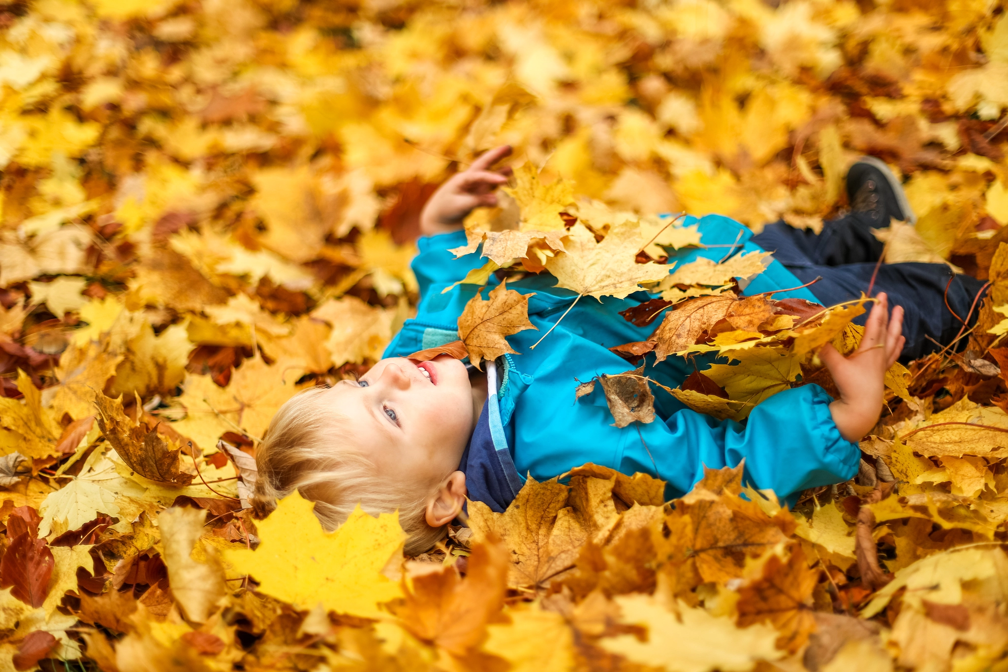 Canon EF 50mm F1.4 USM sample photo. Felix in leaves photography