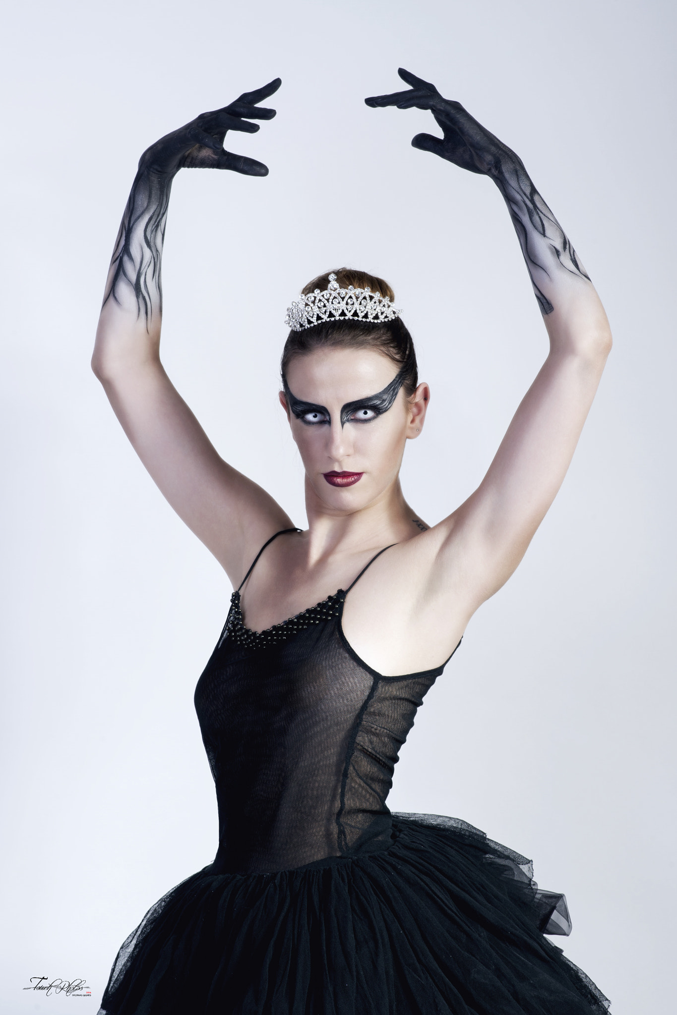 Nikon D3S sample photo. Black swan  photography